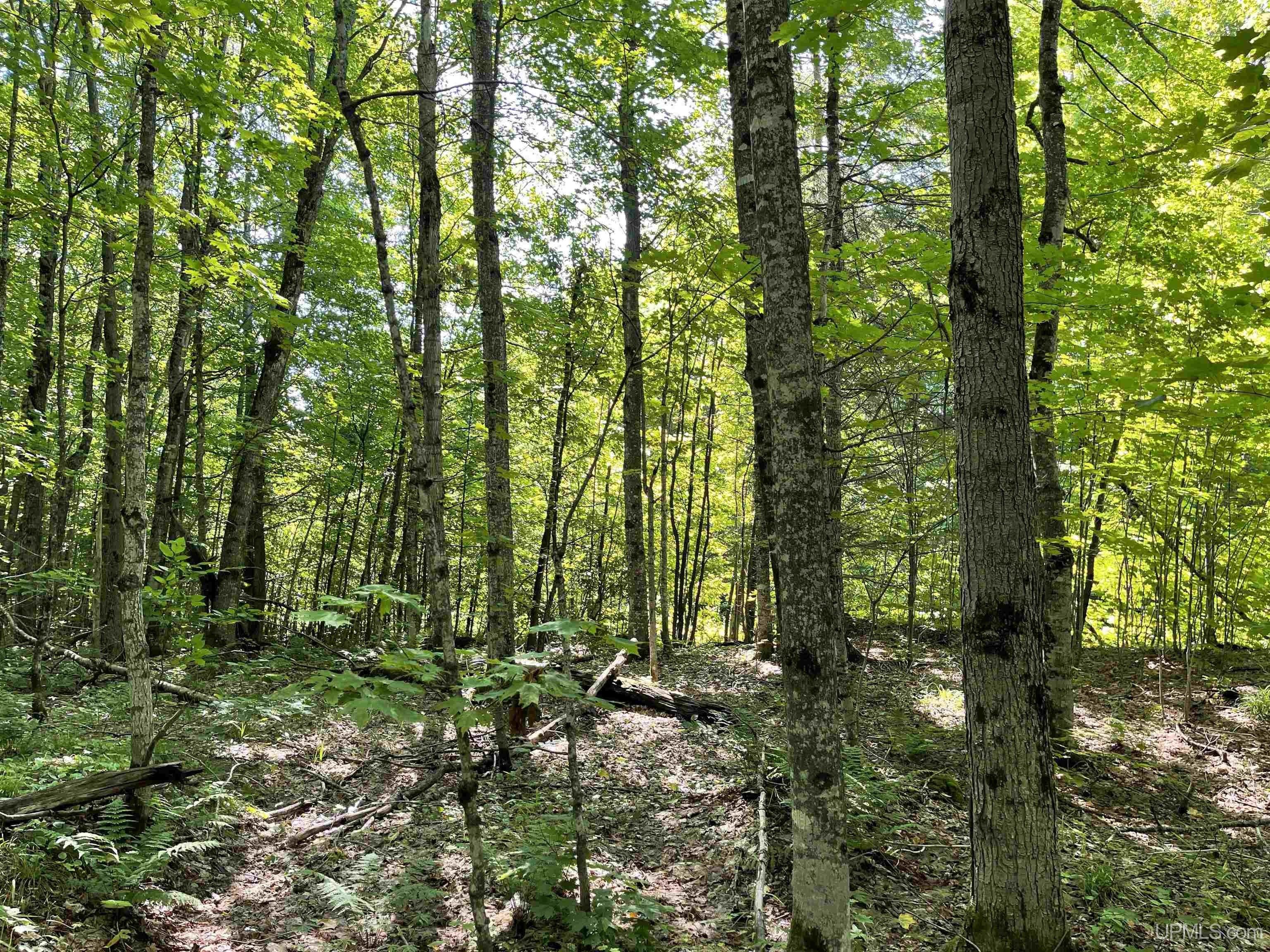 Nisula, Houghton County, MI Undeveloped Land for sale Property ID