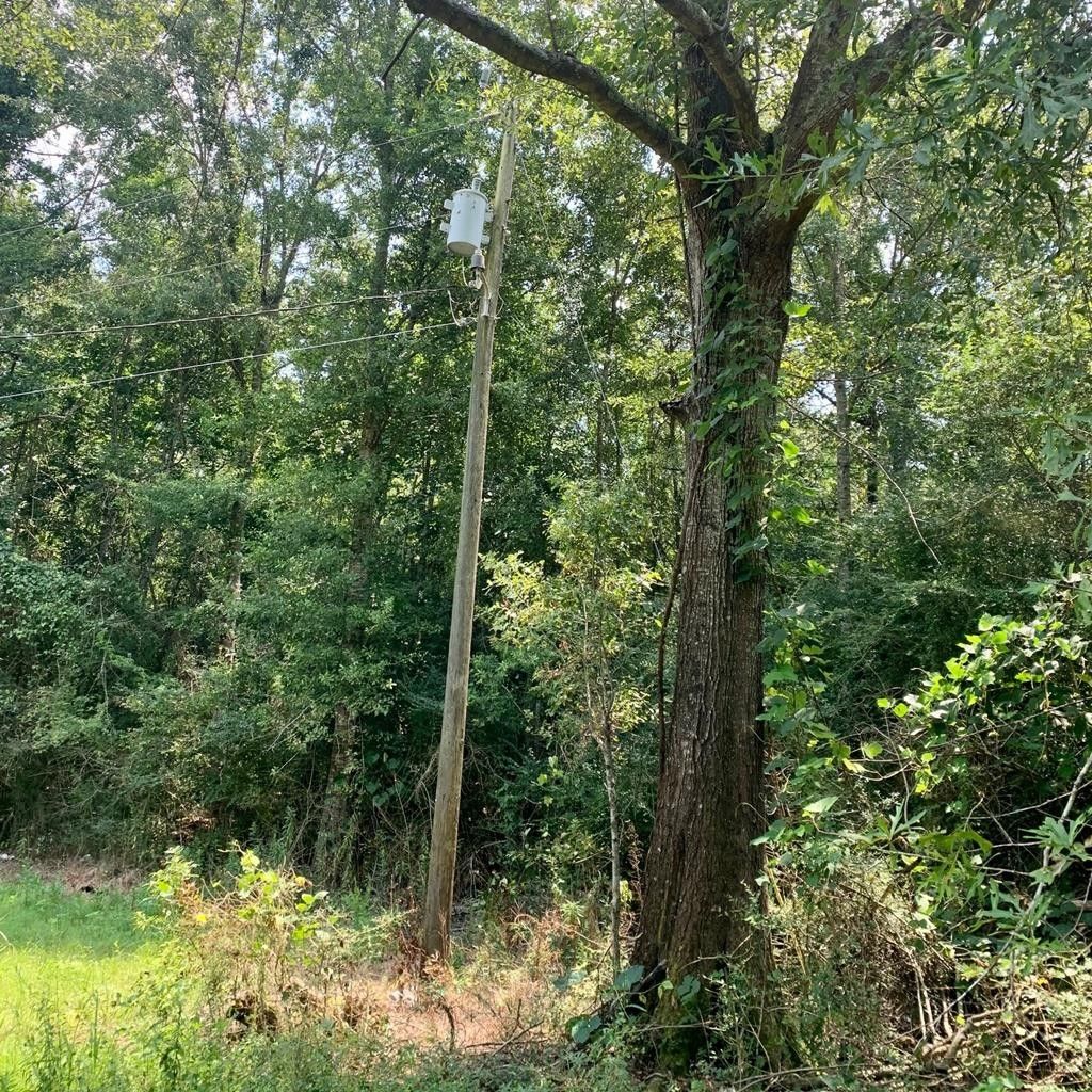 Aimwell, Catahoula Parish, LA Farms and Ranches for sale Property ID