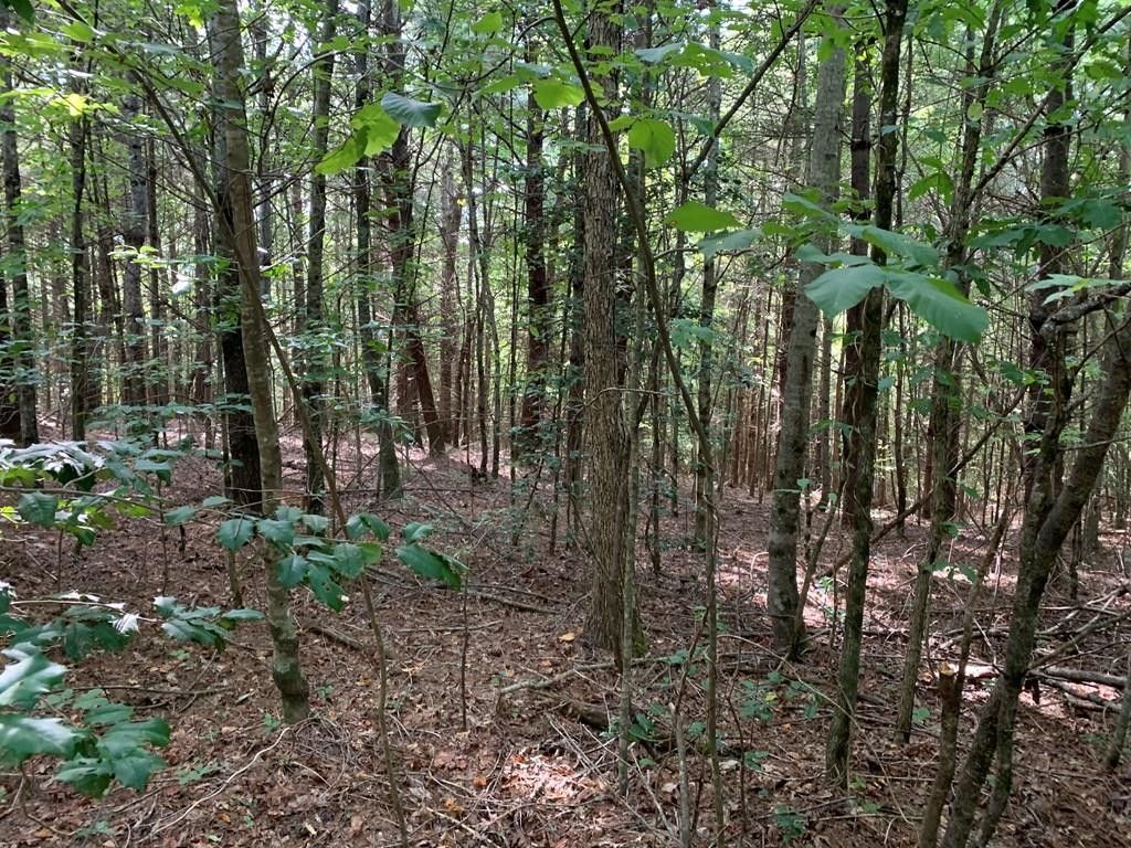 Murphy, Cherokee County, NC Undeveloped Land for sale Property ID 414397362 LandWatch