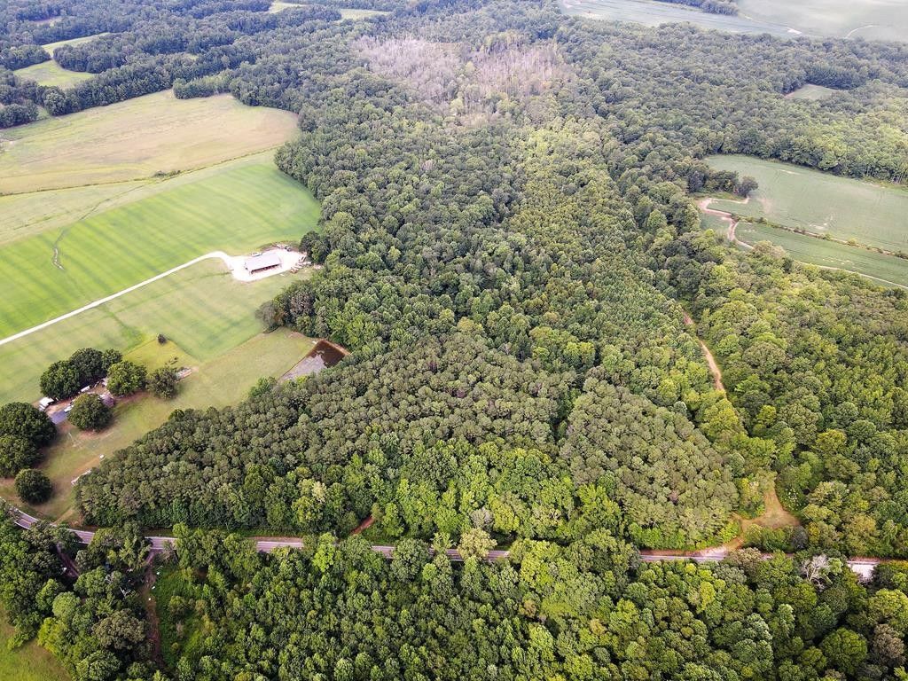 Huntingdon, Carroll County, TN Undeveloped Land, Lakefront Property, Waterfront Property for