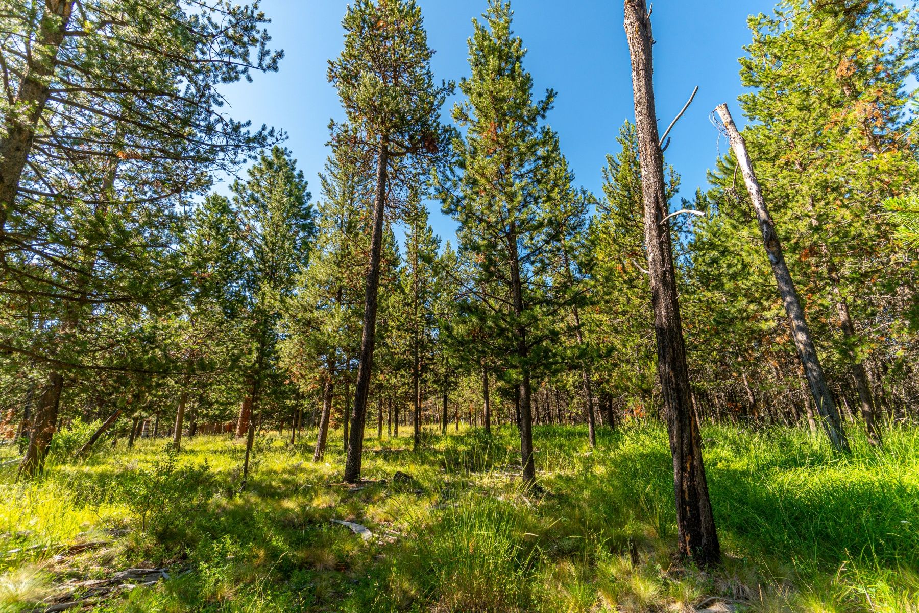 Bend, Deschutes County, OR Undeveloped Land, Homesites for sale