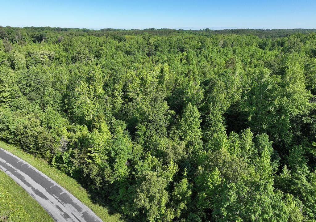 Scottsburg, Halifax County, VA Undeveloped Land for sale Property ID