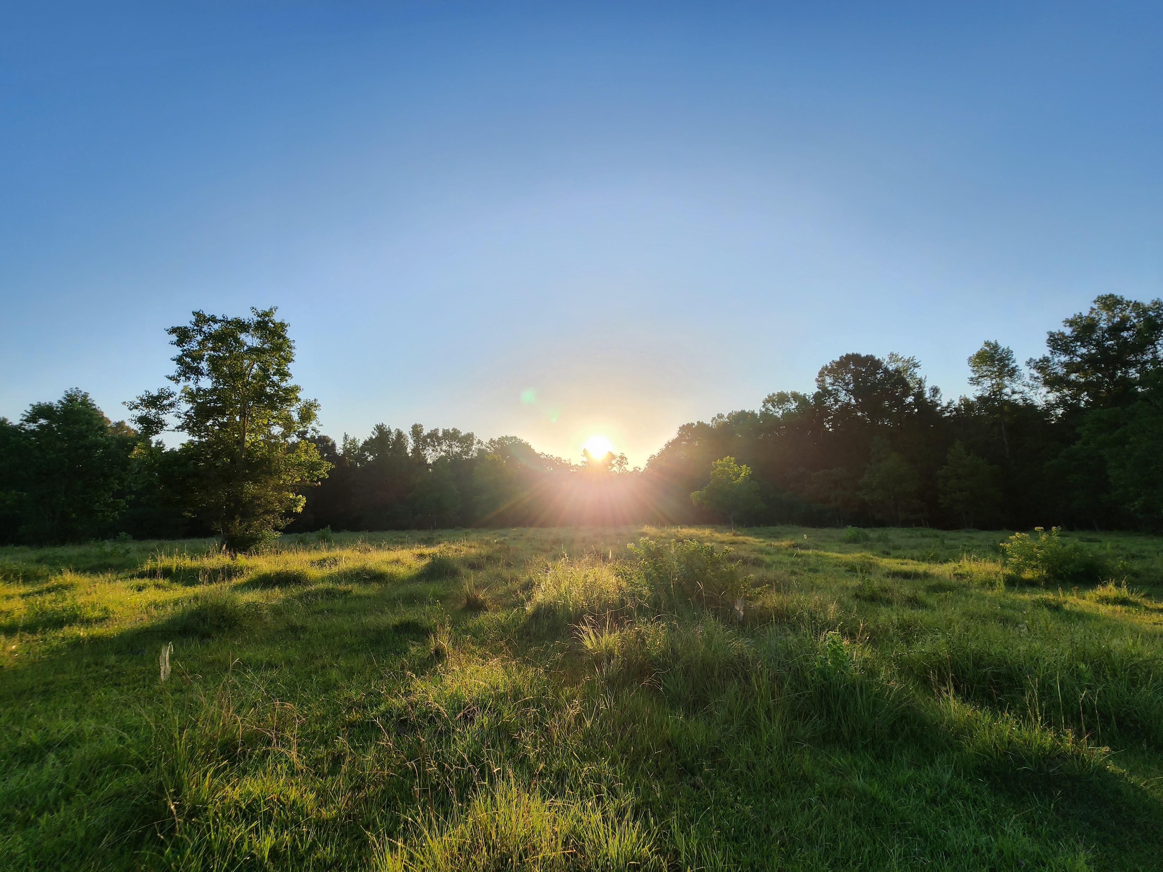 Jackson, East Feliciana Parish, LA Recreational Property, Hunting Property, Horse Property for