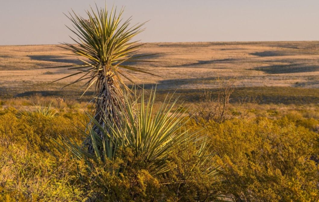 10 acres in Presidio, TX, 79845 LandWatch