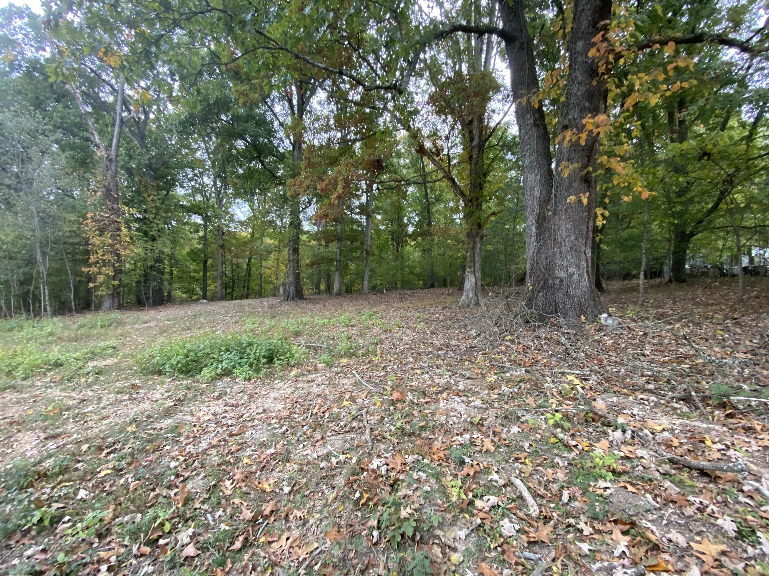 Rogersville, Hawkins County, TN Undeveloped Land for sale Property ID