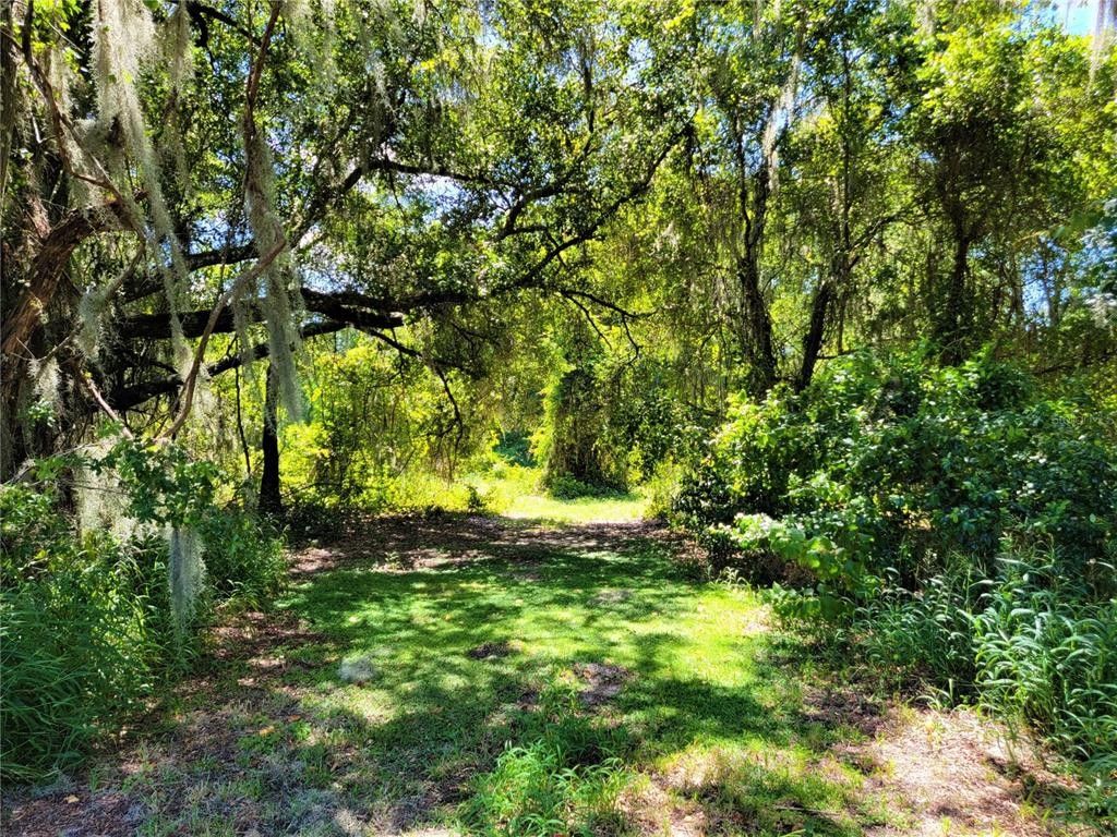 Yalaha, Lake County, FL Undeveloped Land, Lakefront Property