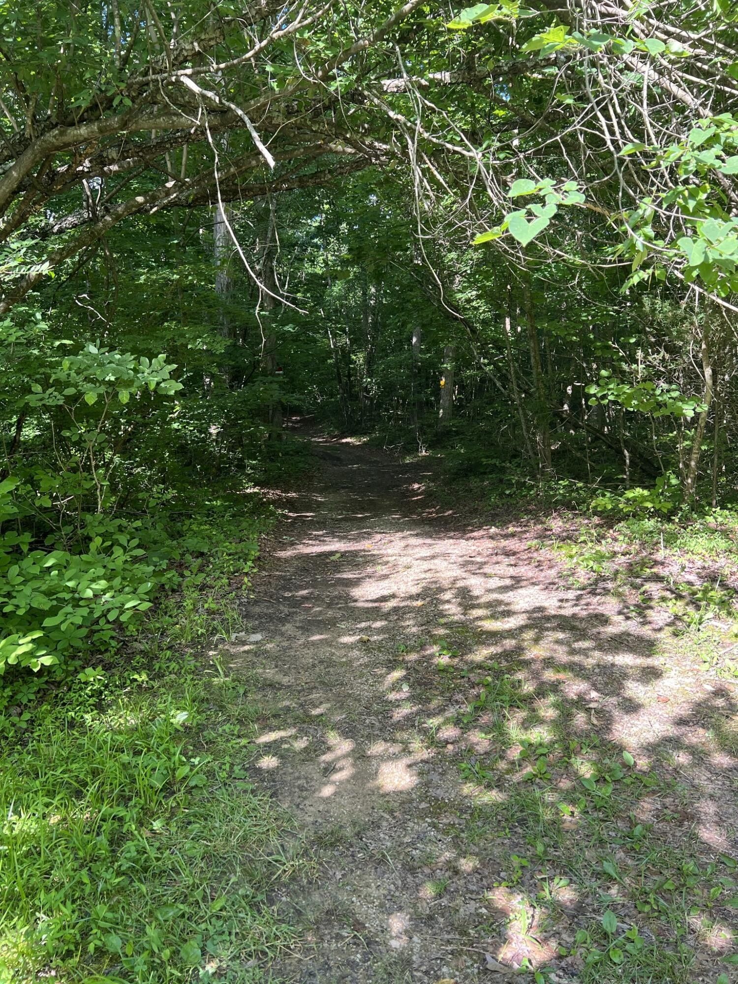 Nancy, Russell County, KY Farms and Ranches for sale Property ID