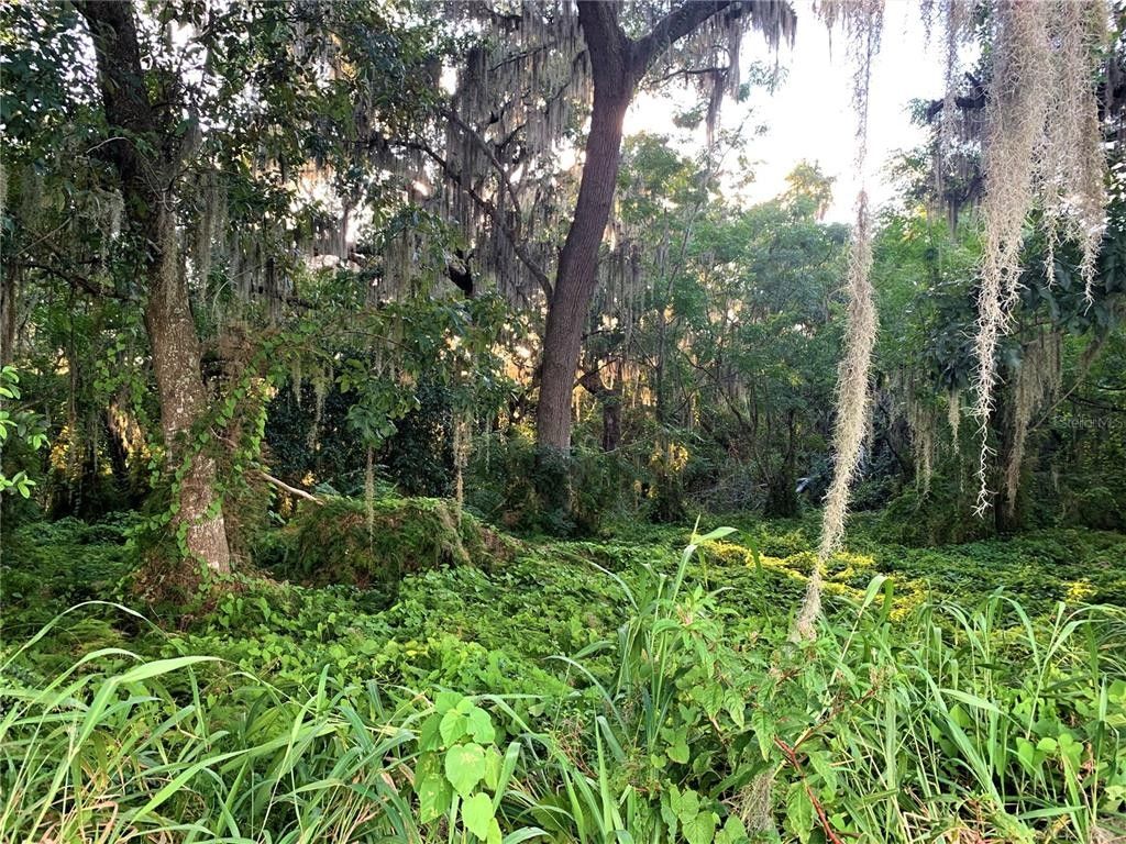 Yalaha, Lake County, FL Undeveloped Land, Lakefront Property