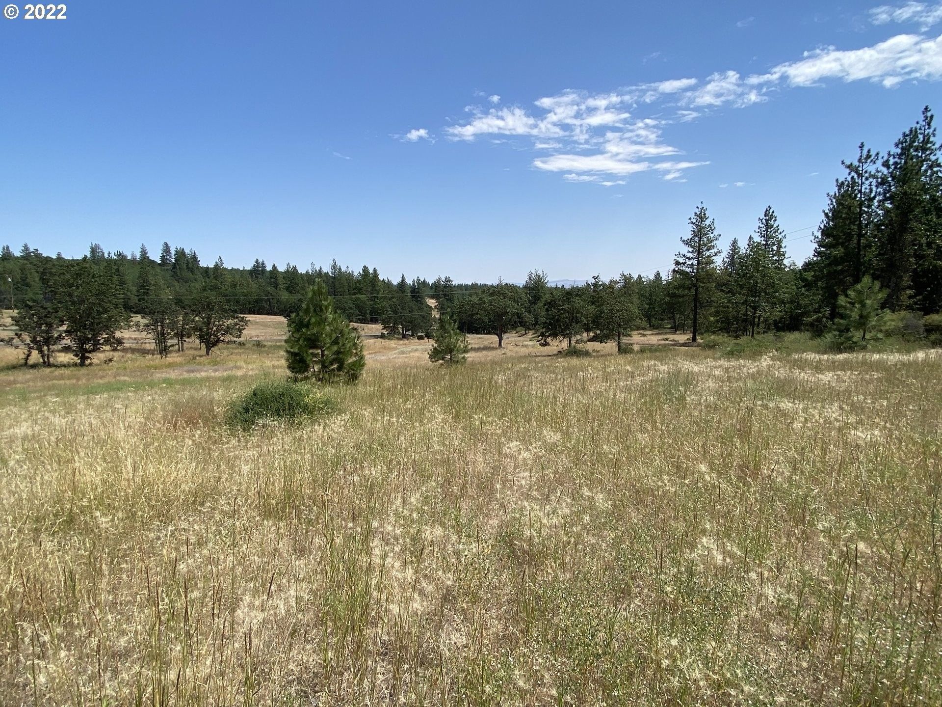 Wahkiacus, Klickitat County, WA Undeveloped Land, Homesites for sale