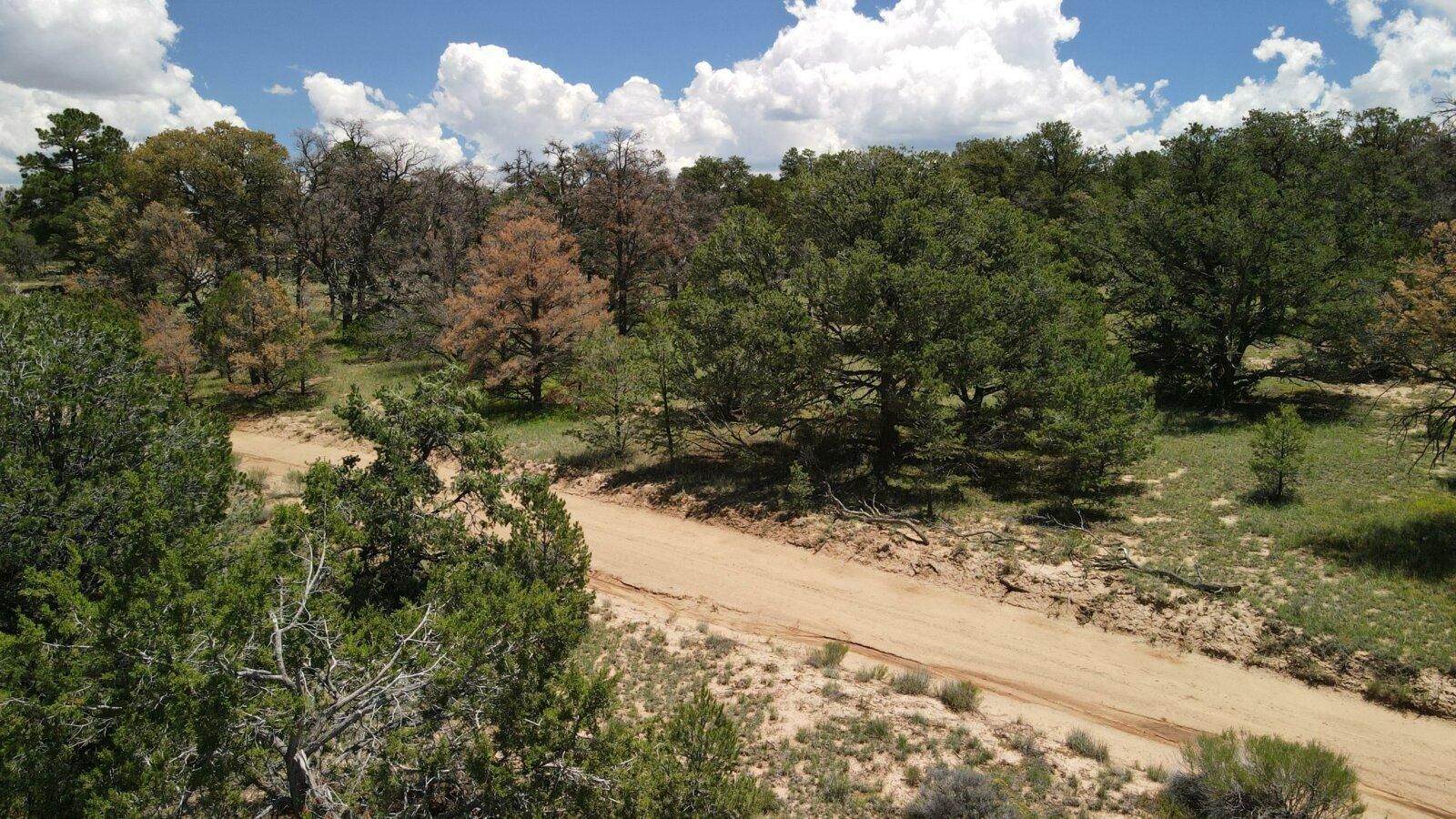 Mountain View, Cibola County, NM Recreational Property, Undeveloped