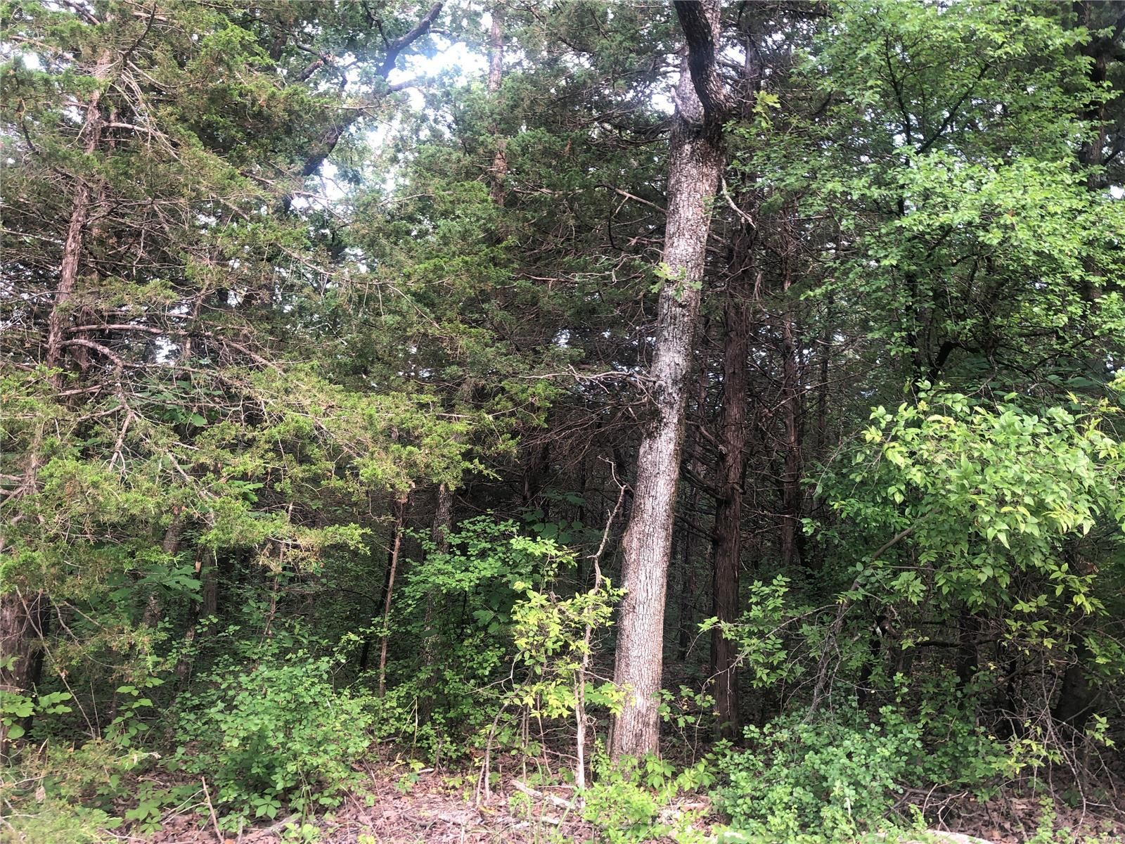 De Soto, Jefferson County, MO Undeveloped Land, Homesites for sale