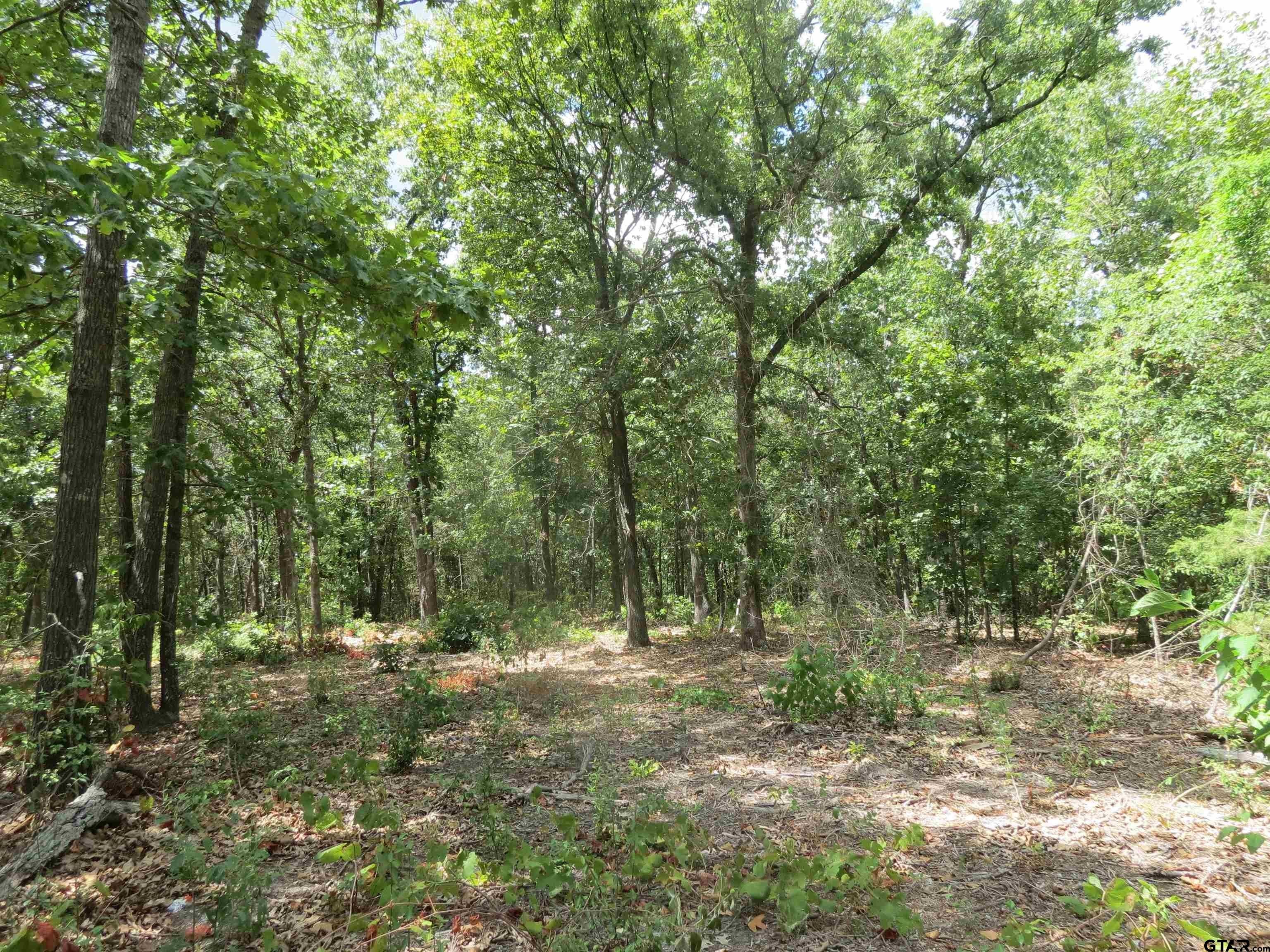 Winnsboro, Wood County, TX Undeveloped Land, Homesites for sale