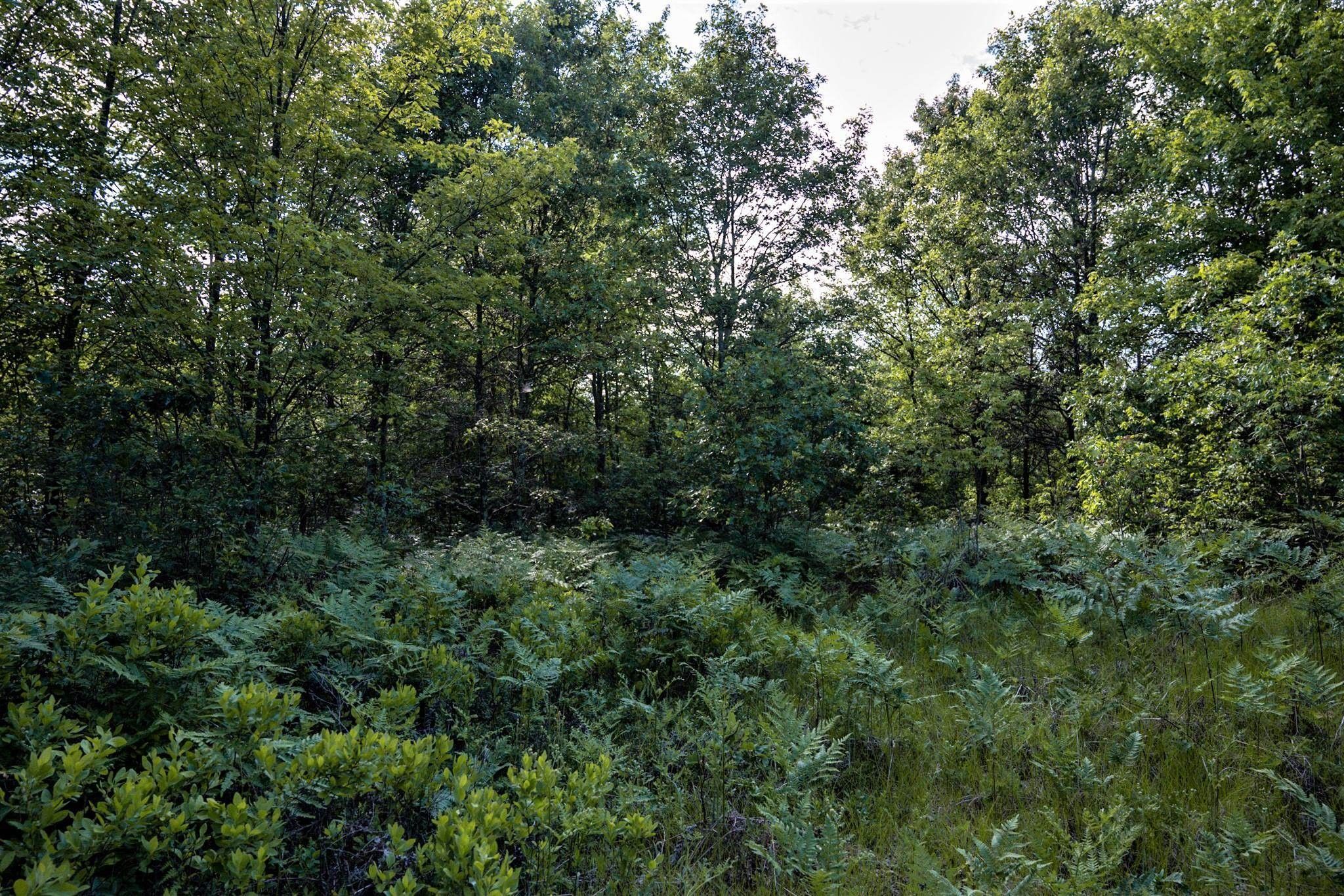 Necedah, Juneau County, WI Undeveloped Land for sale Property ID