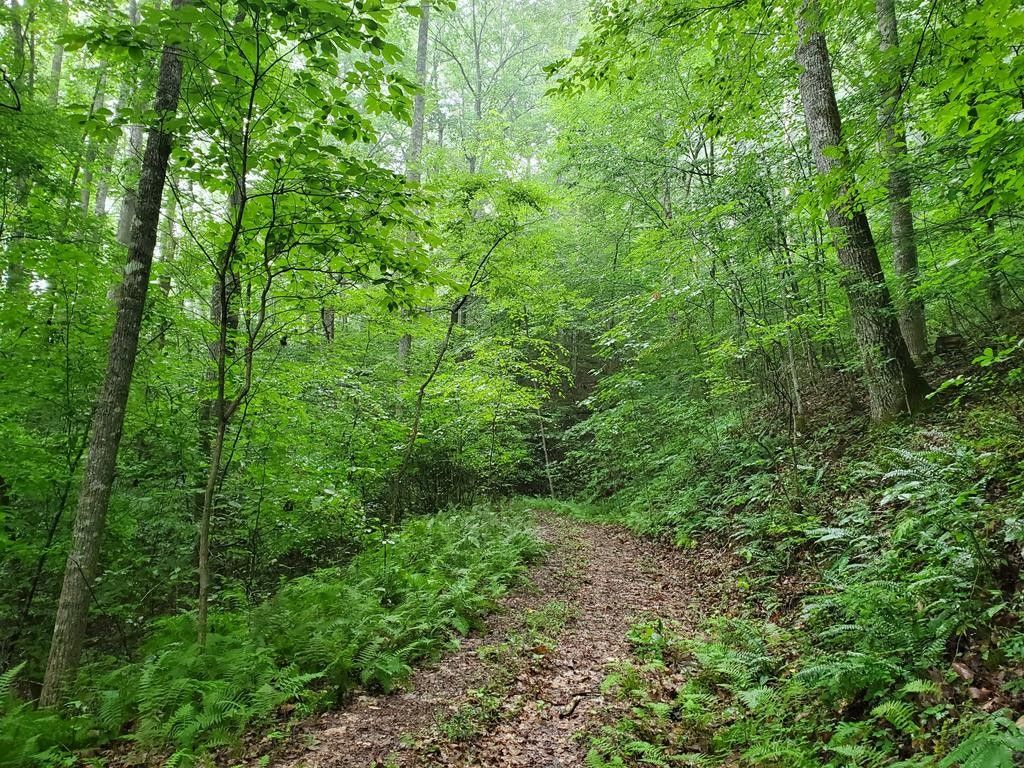 Franklin, Macon County, NC Undeveloped Land for sale Property ID