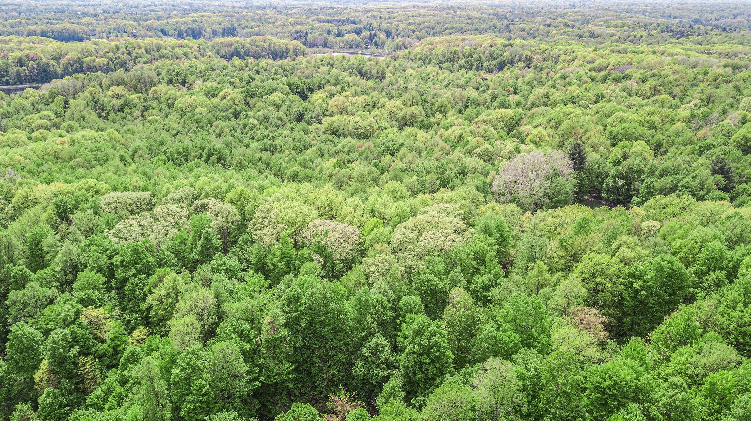 Parma, Jackson County, MI Recreational Property, Timberland Property