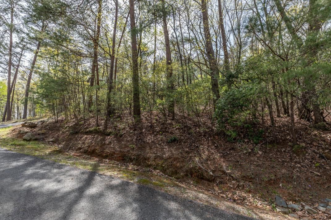 Ellijay, Gilmer County, GA Homesites for sale Property ID 414390991
