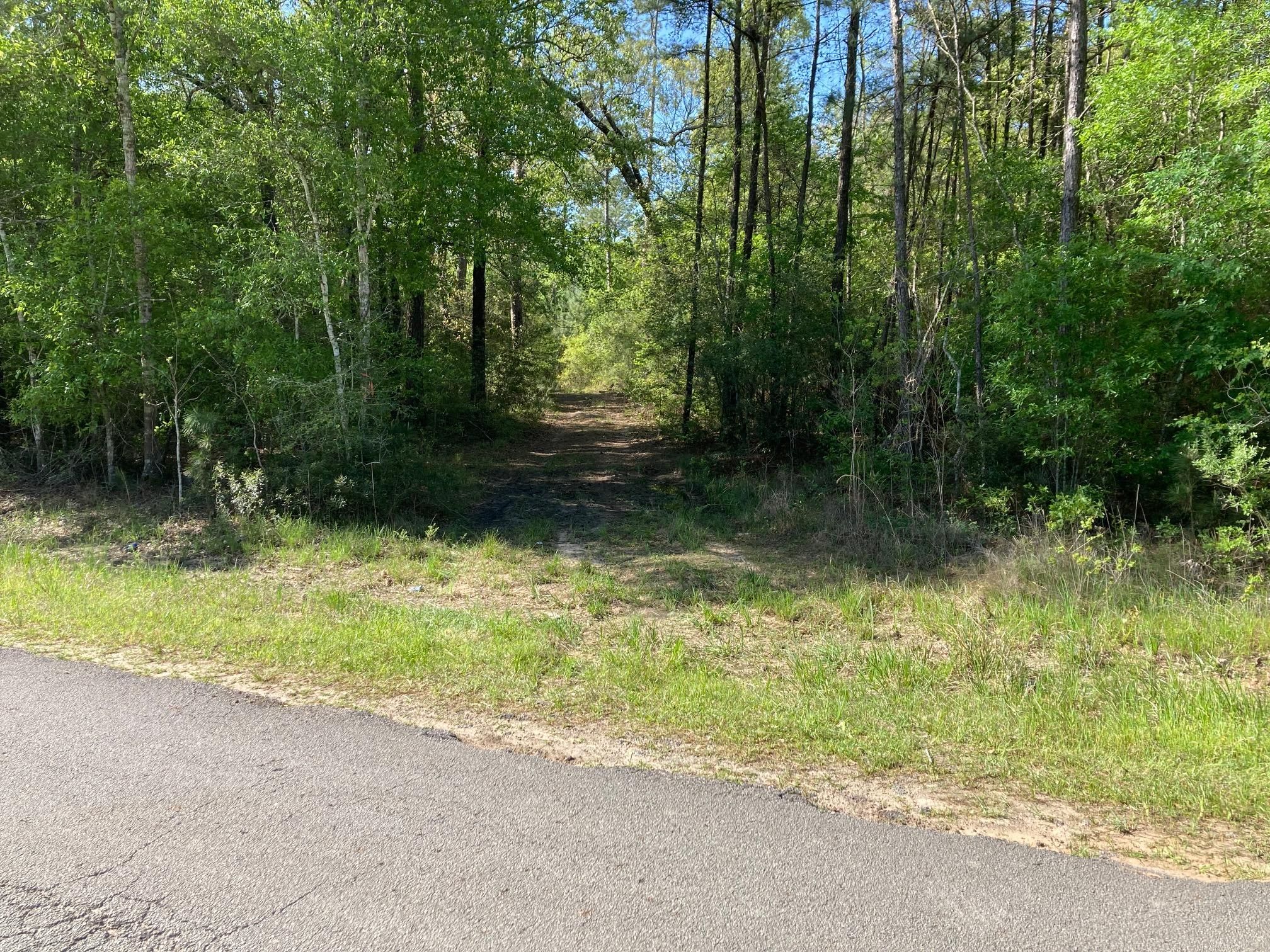 Conroe, Montgomery County, TX Timberland Property, Undeveloped Land