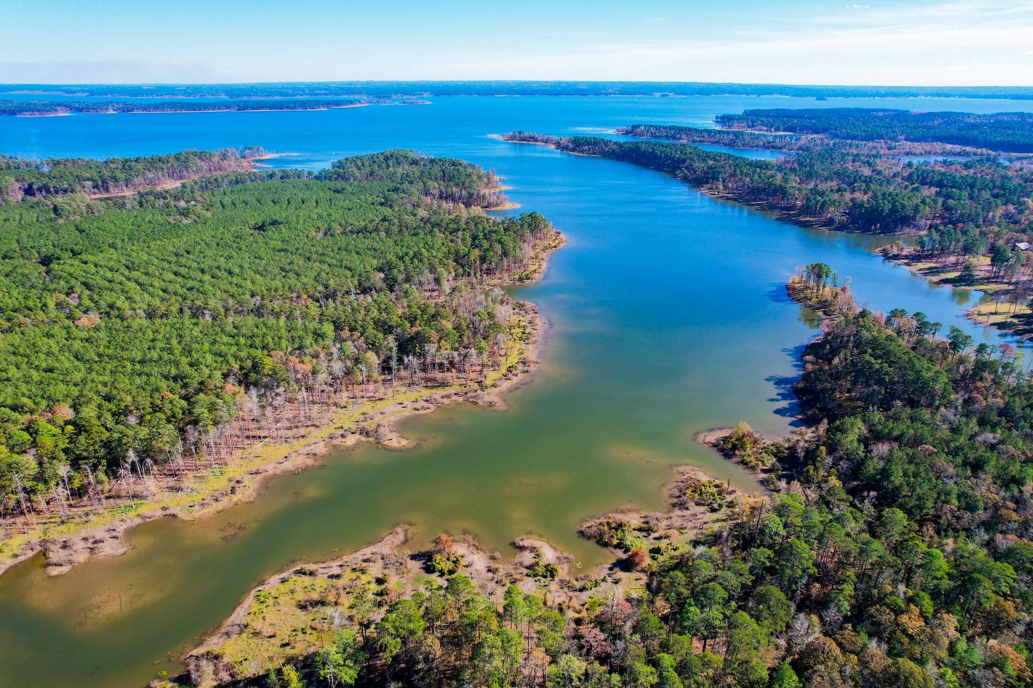 Broaddus, San Augustine County, TX Recreational Property, Undeveloped