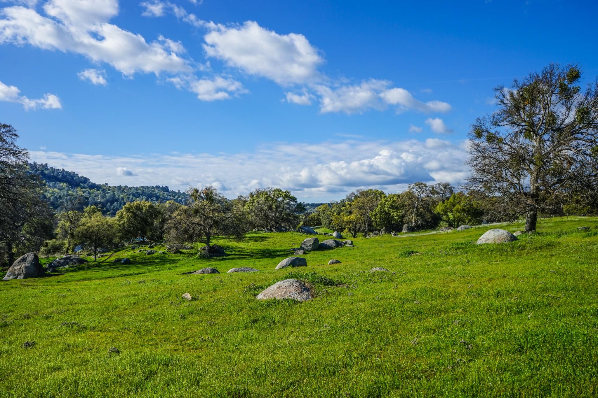 Mariposa, Mariposa County, CA Farms and Ranches, Hunting Property for