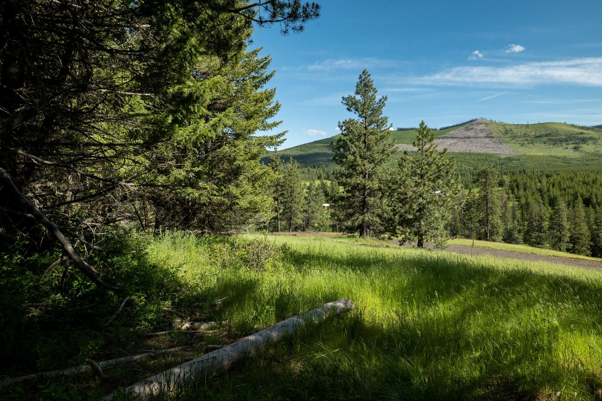 Saint Maries, Benewah County, ID Recreational Property, Undeveloped
