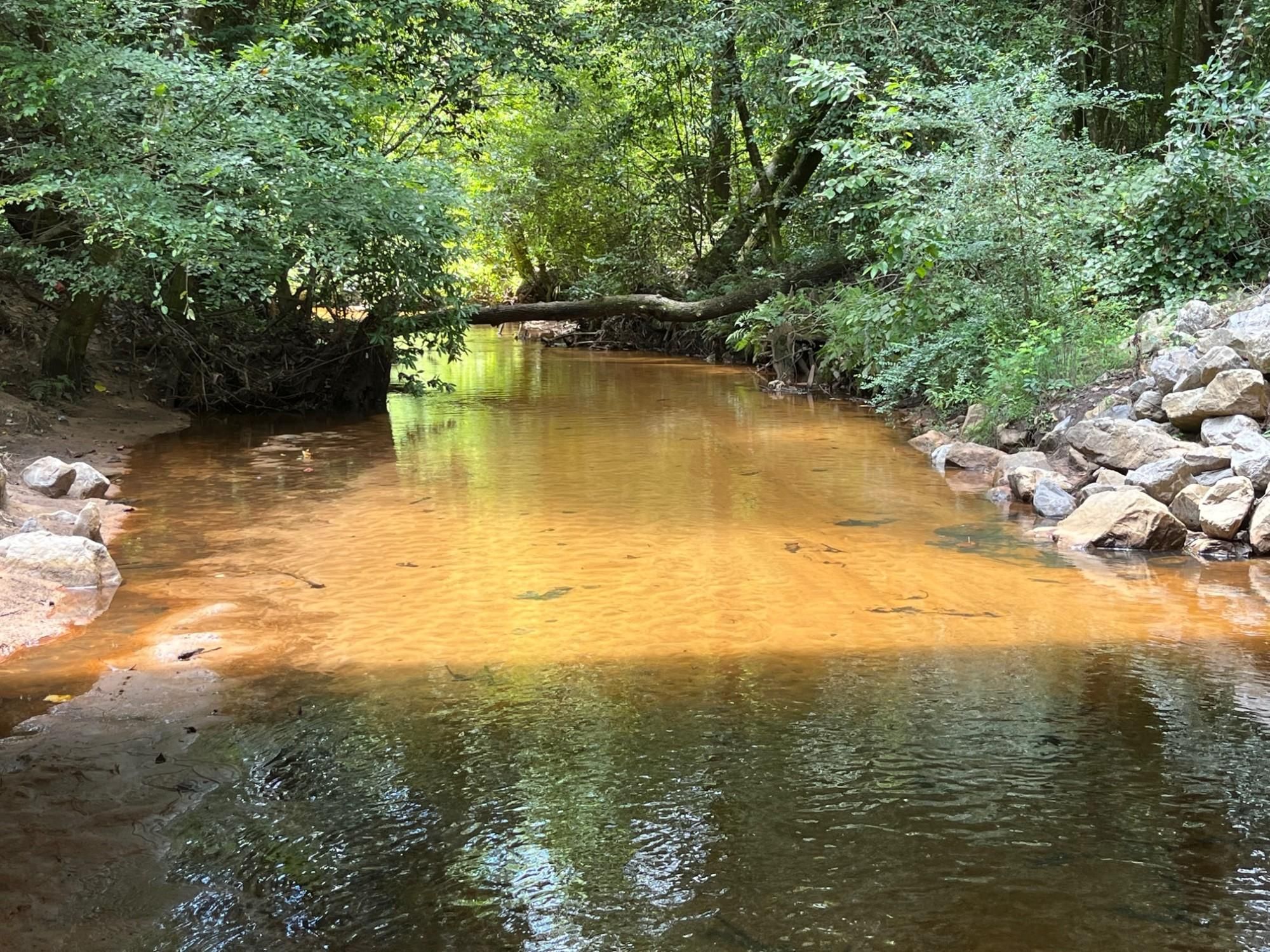 Dozier, Crenshaw County, AL Hunting Property for sale Property ID