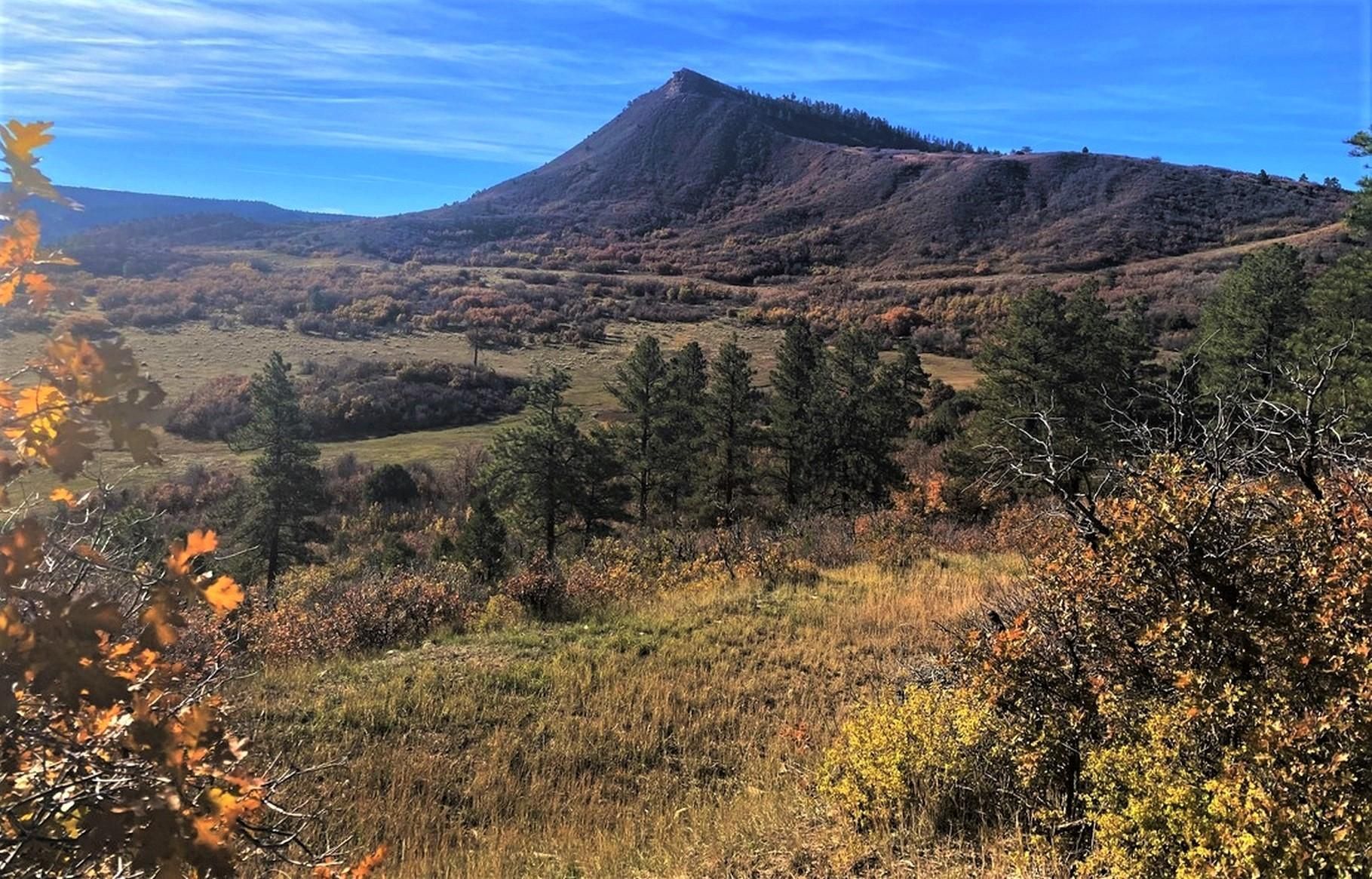 Mancos, La Plata County, CO Recreational Property, Undeveloped Land