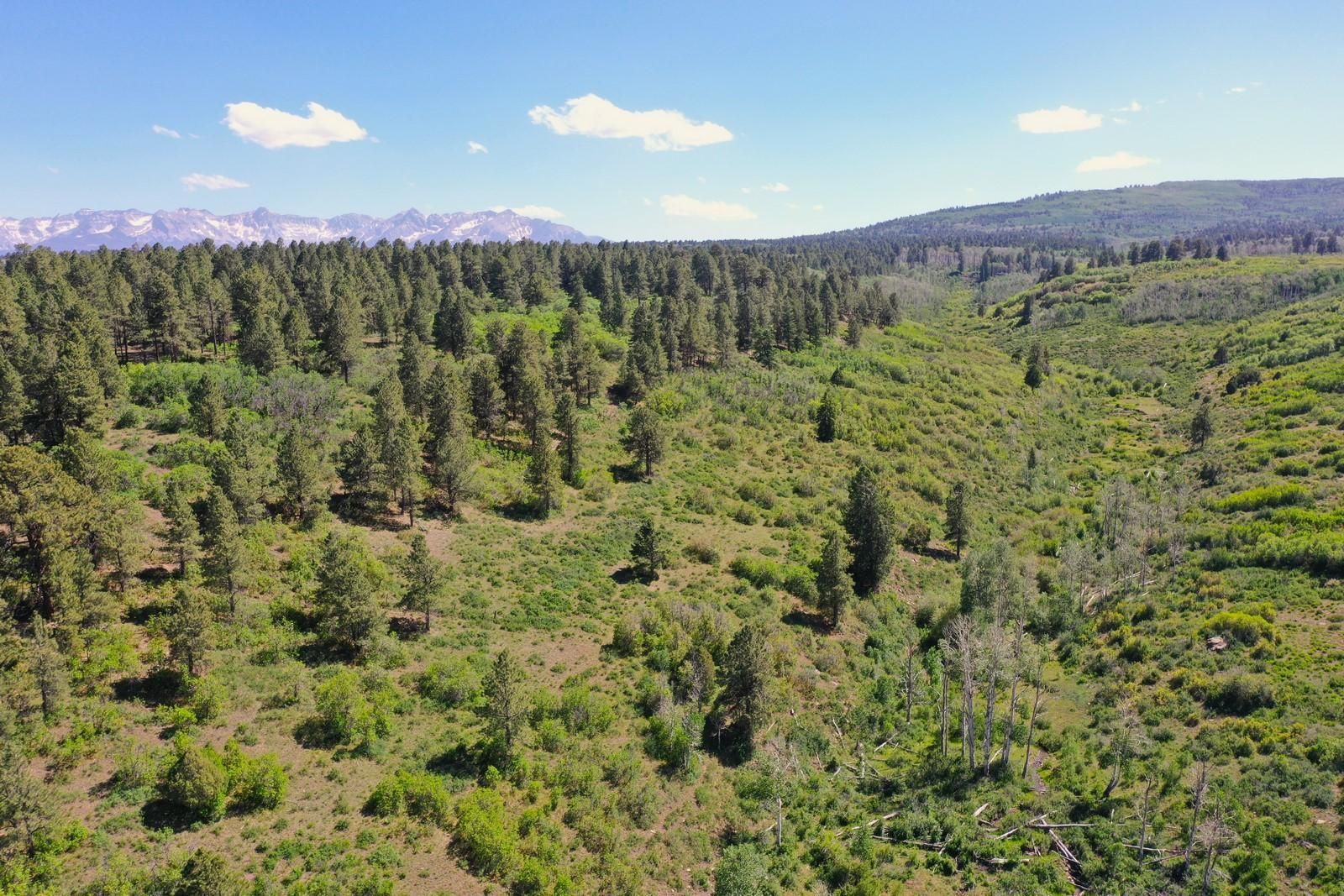 Montrose, Ouray County, CO Recreational Property, Undeveloped Land