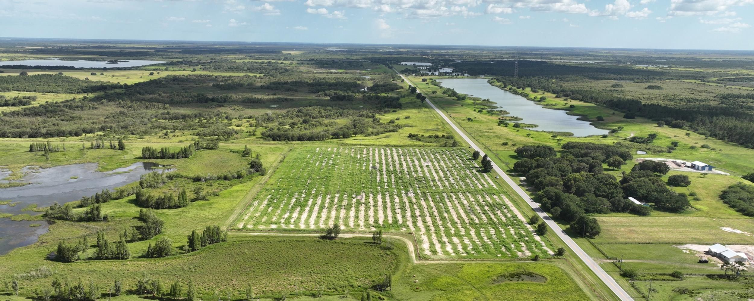 Fort Meade, Polk County, FL Farms and Ranches for sale Property ID