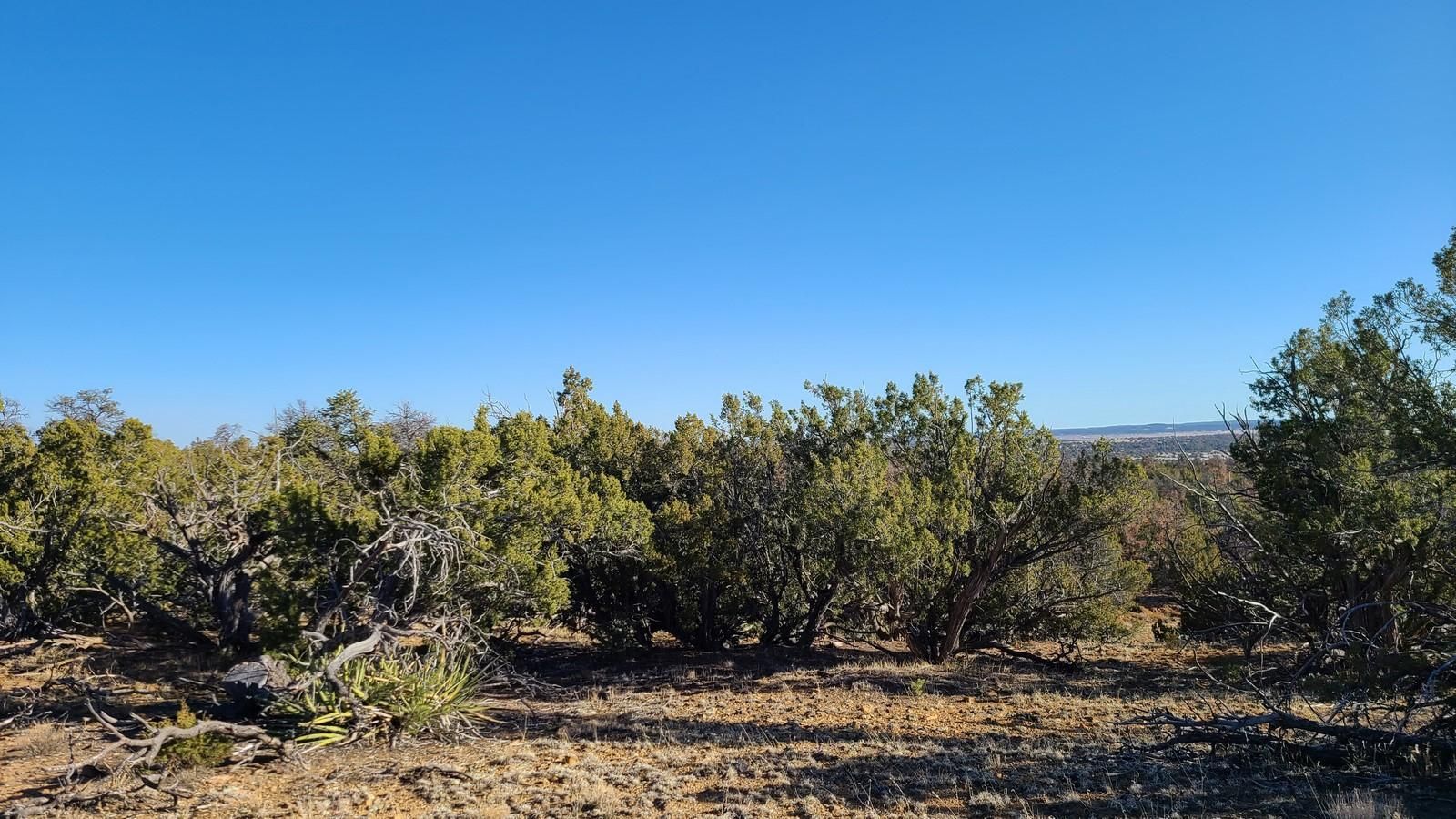 Bluewater, Cibola County, NM Undeveloped Land, Hunting Property for