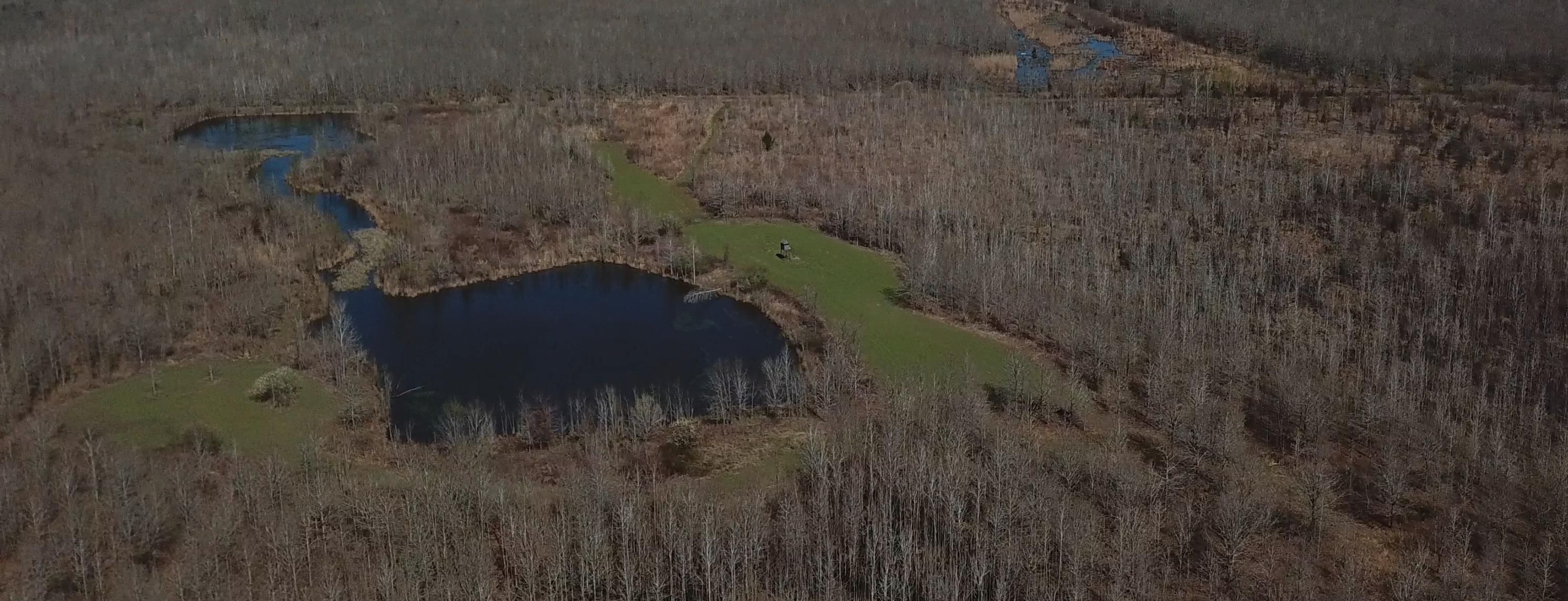 Tallulah, Madison Parish, LA Recreational Property, Timberland Property