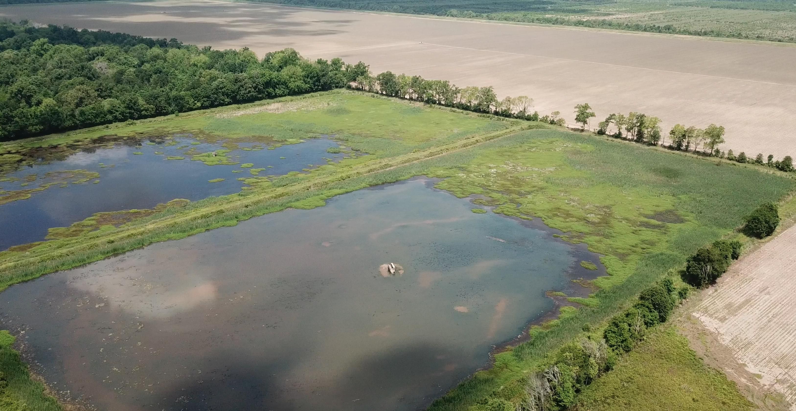 Wisner, Catahoula Parish, LA Recreational Property, Timberland Property