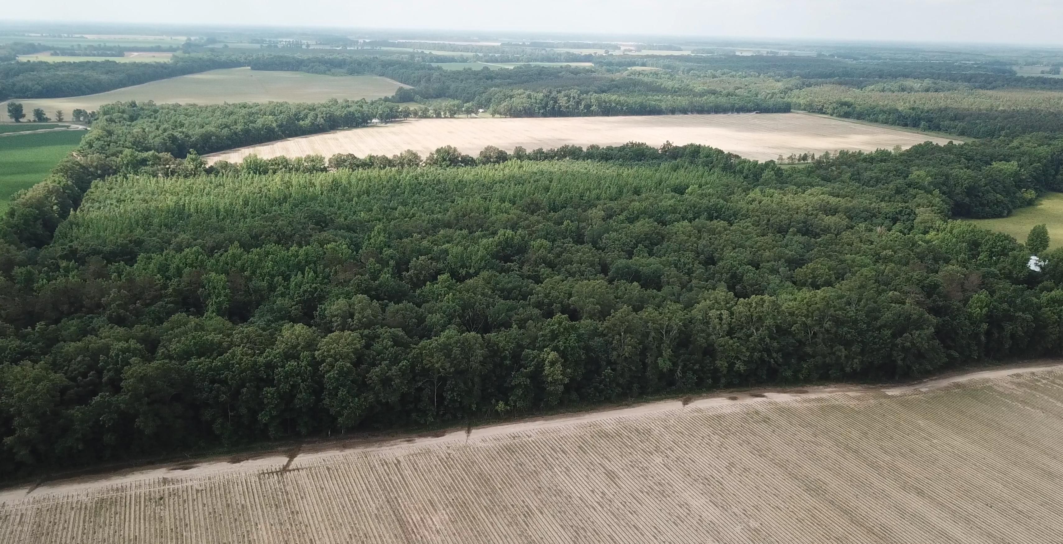 40 acres in Crowville, LA, 71232 LandWatch