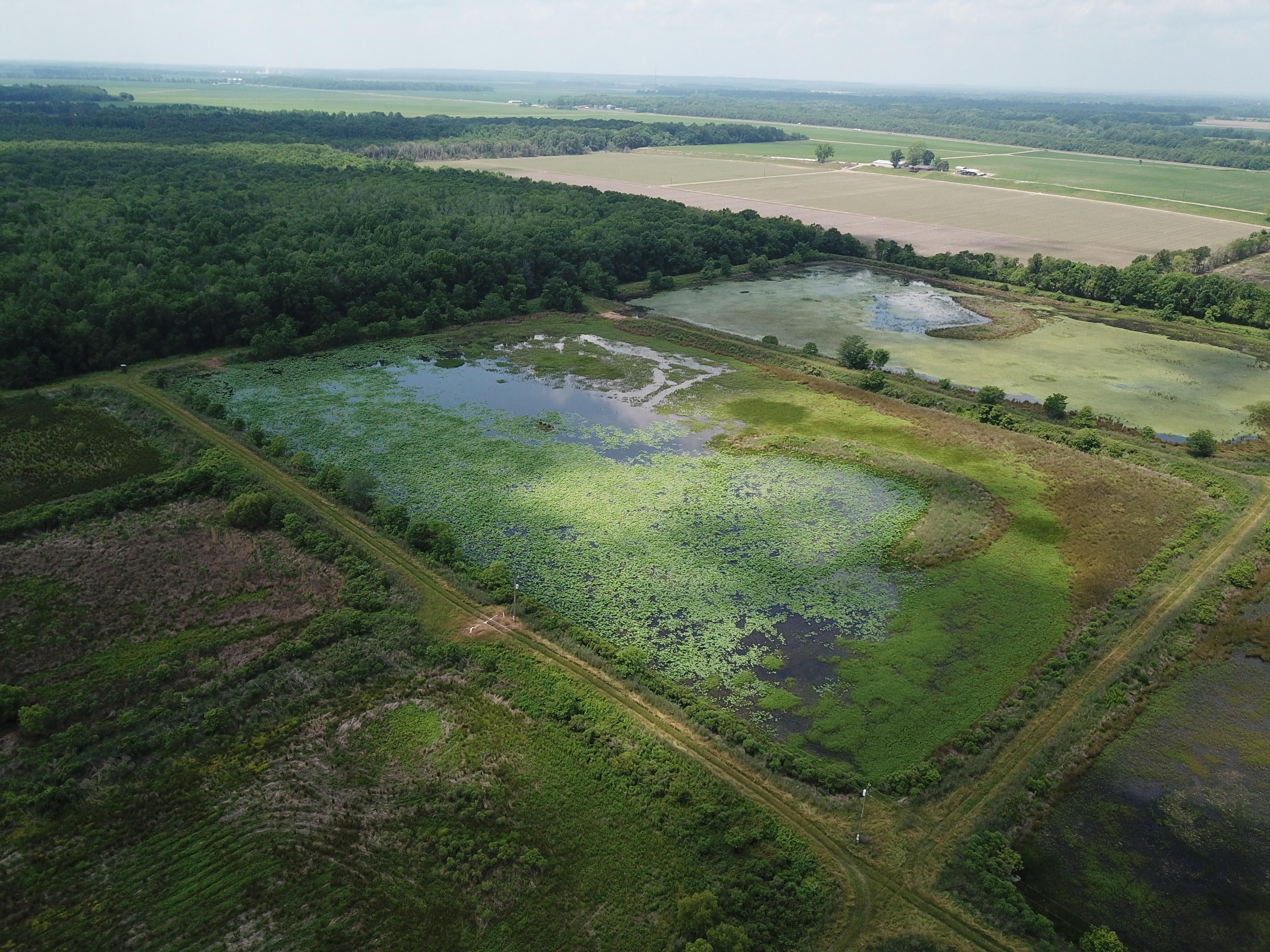 Wisner, Catahoula Parish, LA Recreational Property, Timberland Property