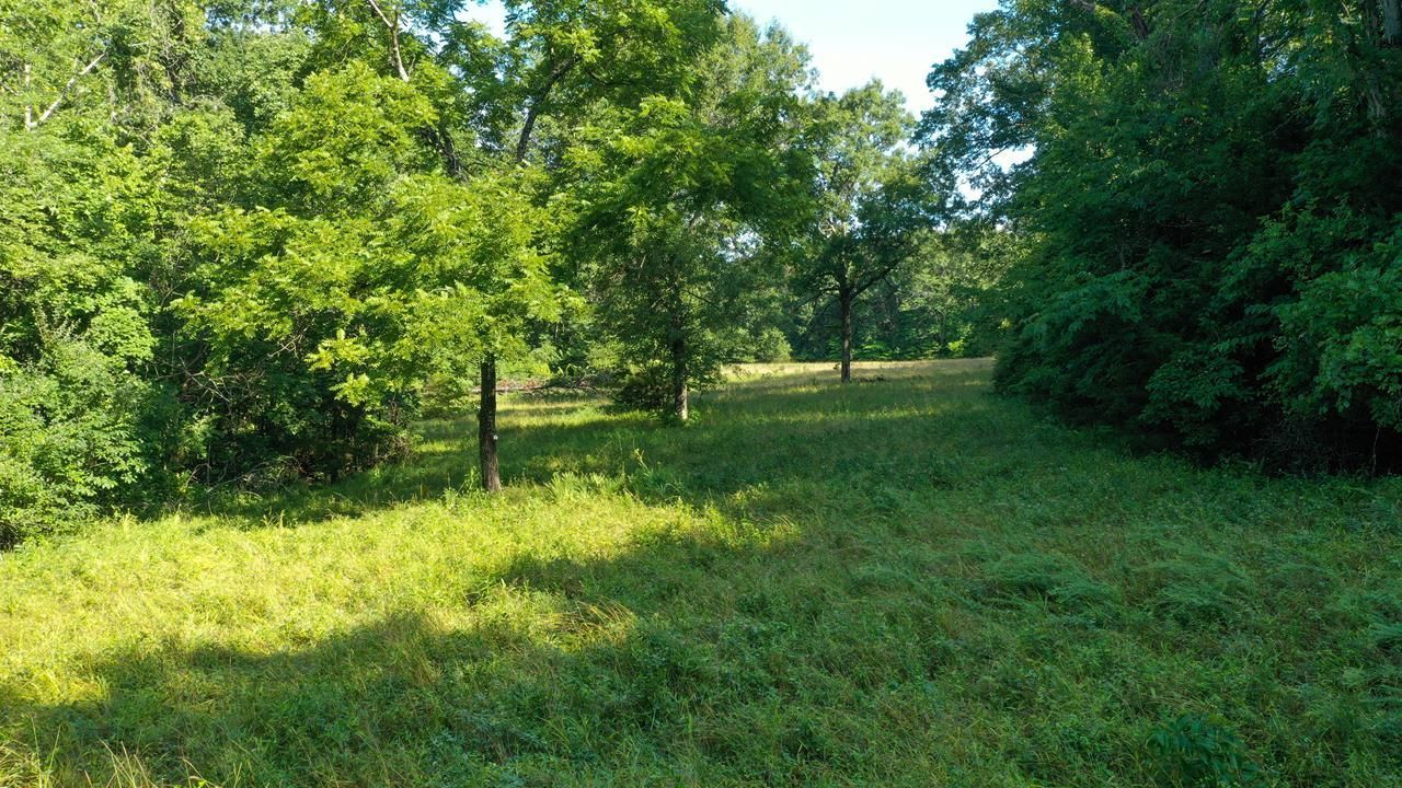 Rhineland, Montgomery County, MO Recreational Property, Timberland