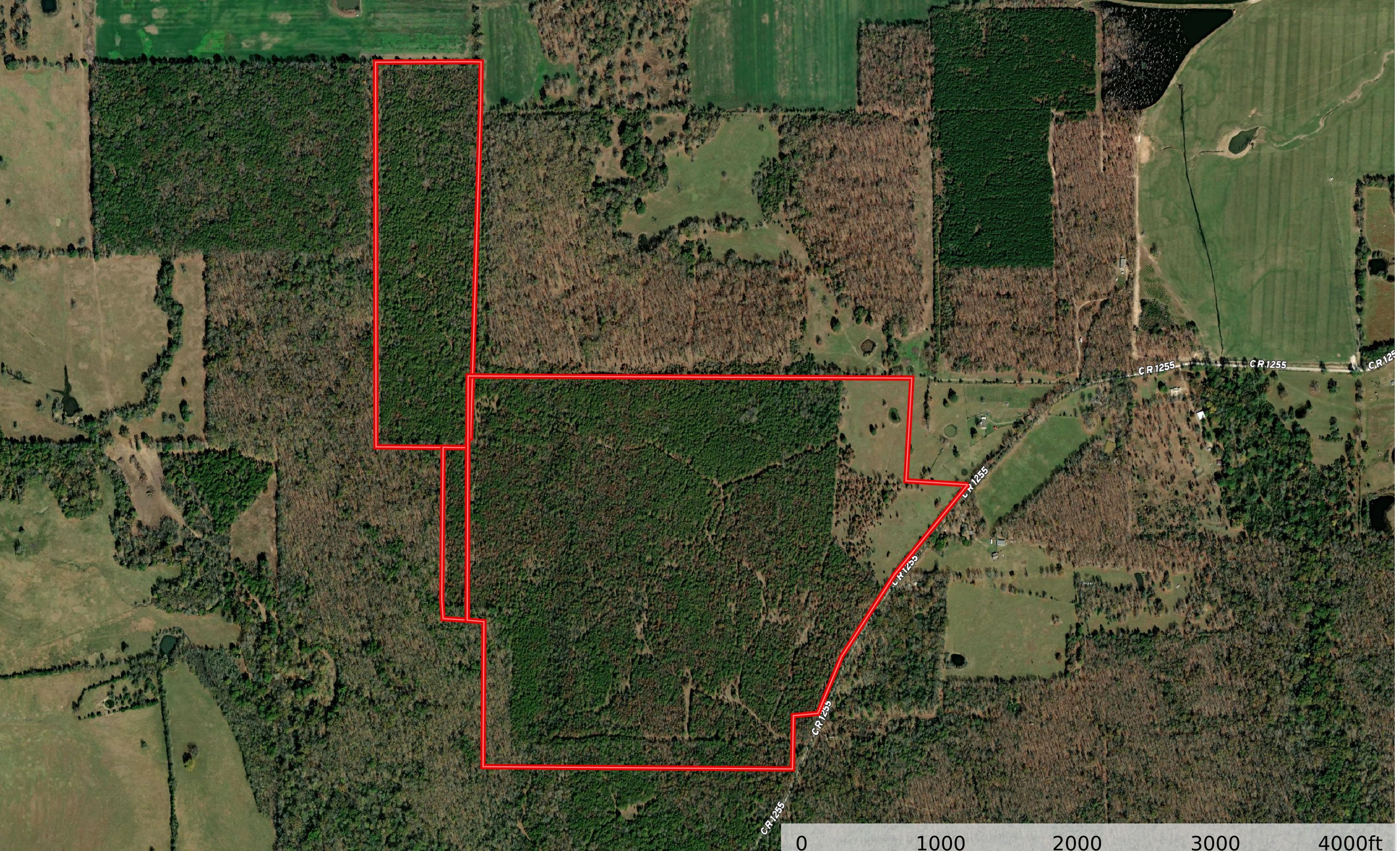 Detroit, Red River County, TX Recreational Property, Hunting Property