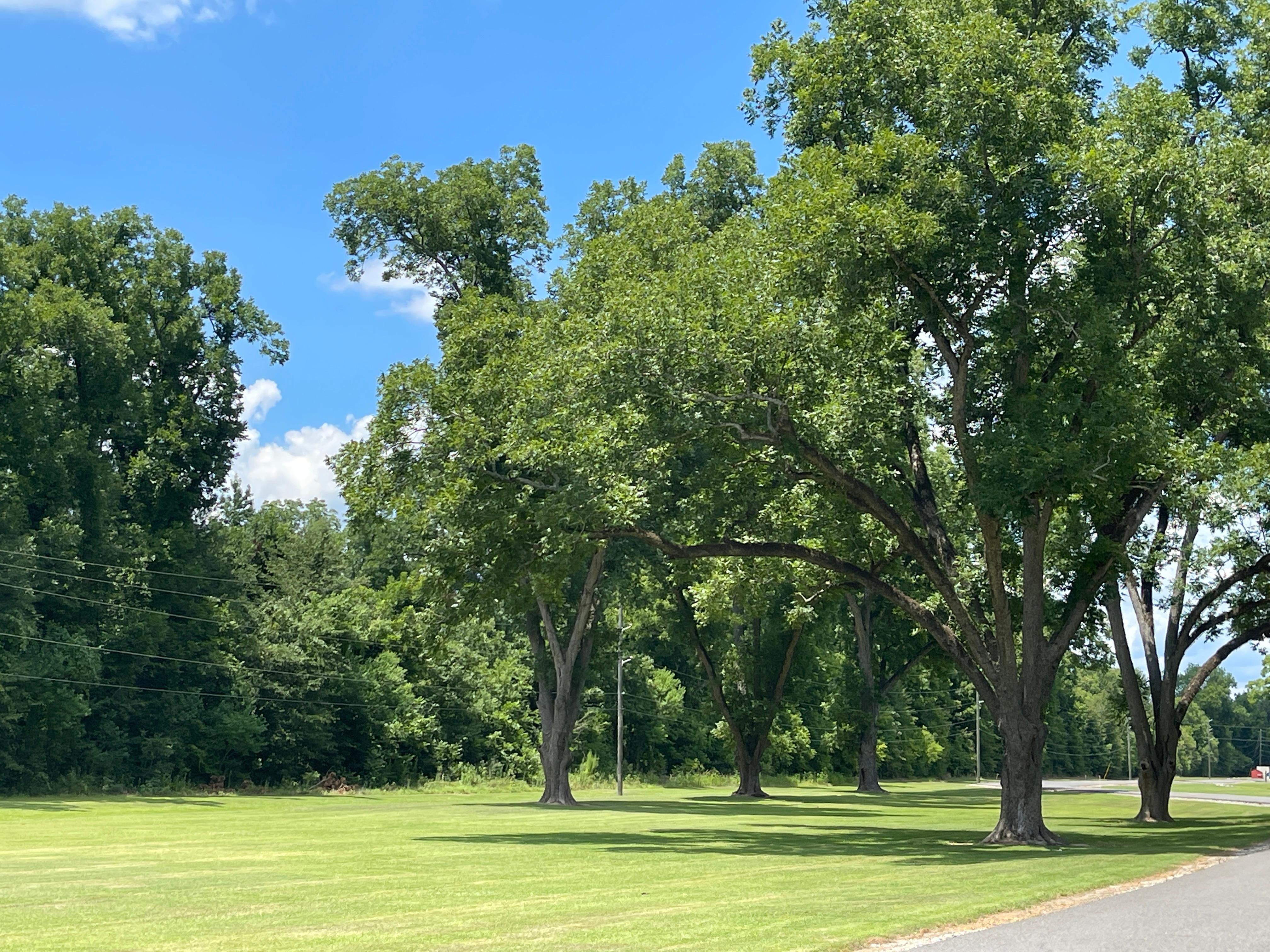 Monroe, Ouachita Parish, LA Recreational Property, Timberland Property