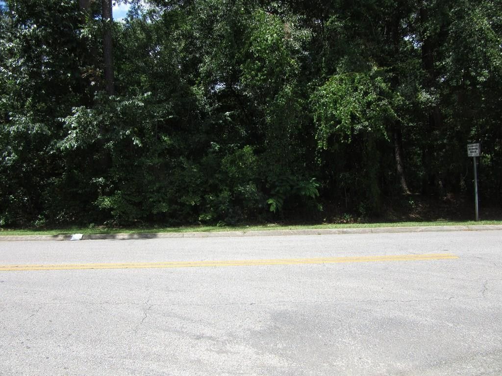 Dothan, Houston County, AL Undeveloped Land, Lakefront Property