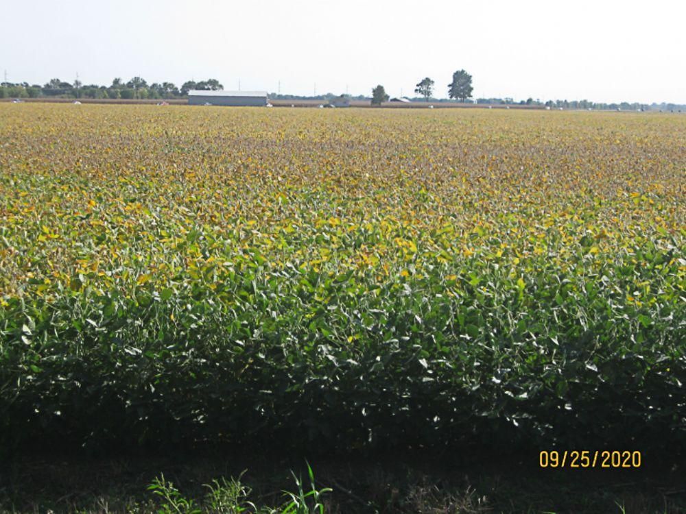 Chatham, Sangamon County, IL Farms and Ranches, Hunting Property for