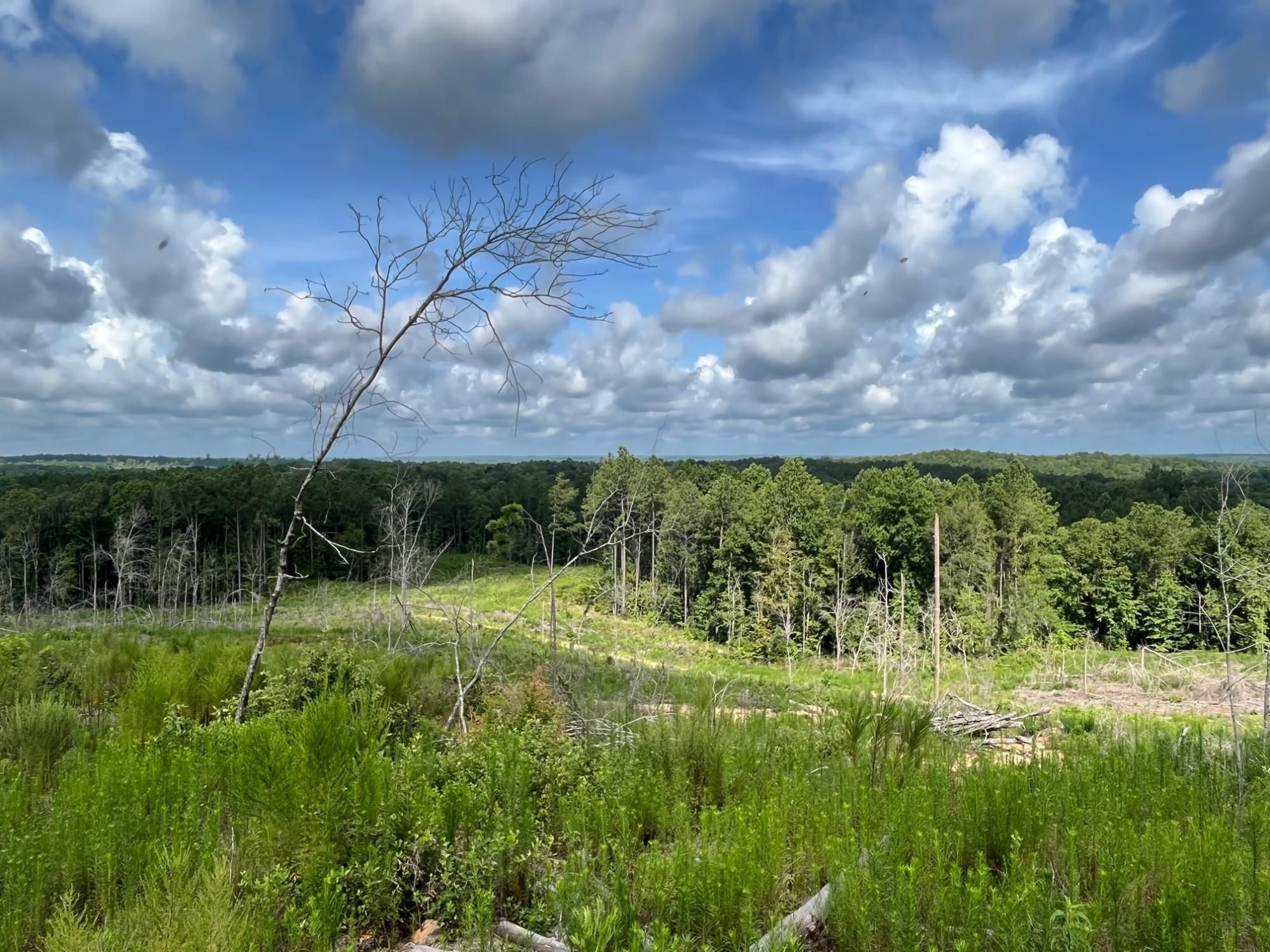 Dozier, Crenshaw County, AL Hunting Property for sale Property ID
