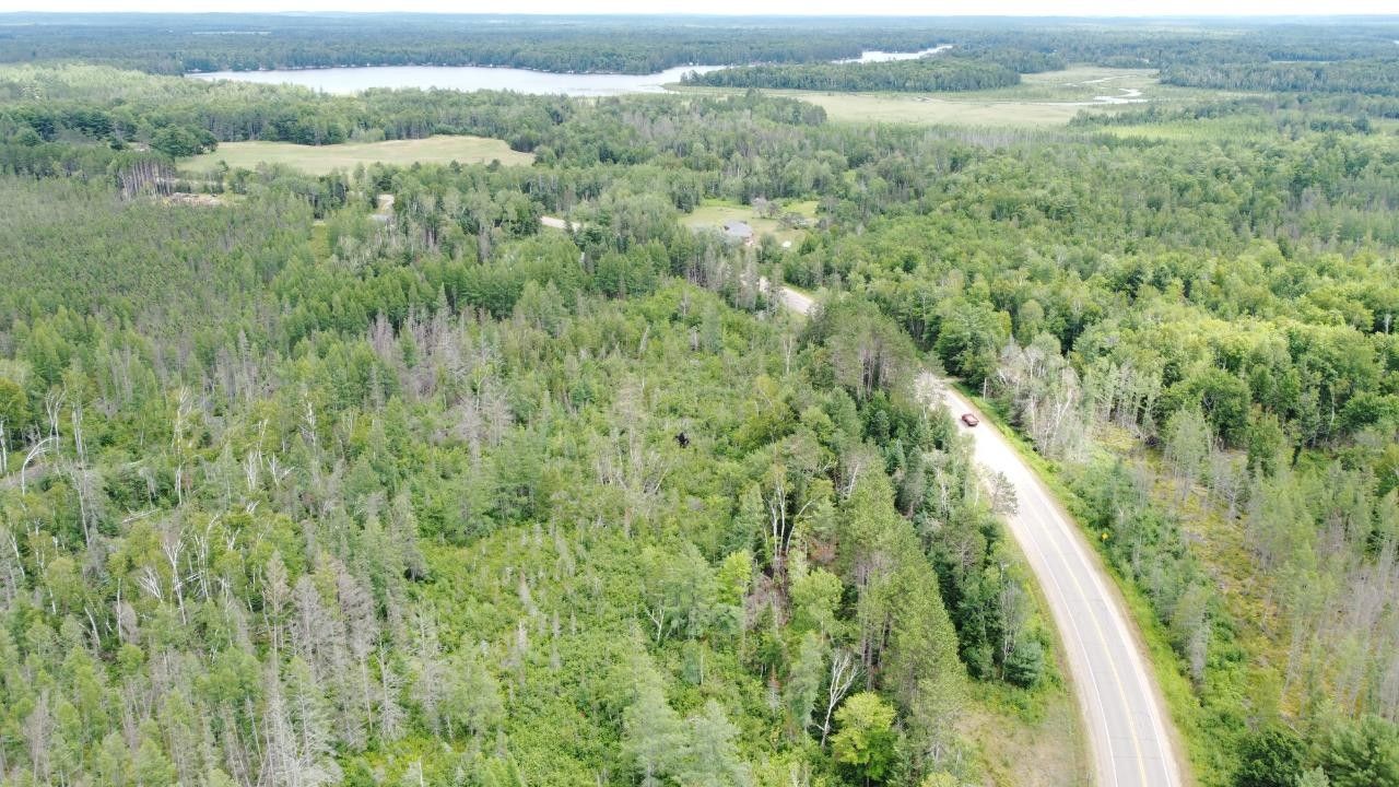 Elcho, Langlade County, WI Undeveloped Land for sale Property ID
