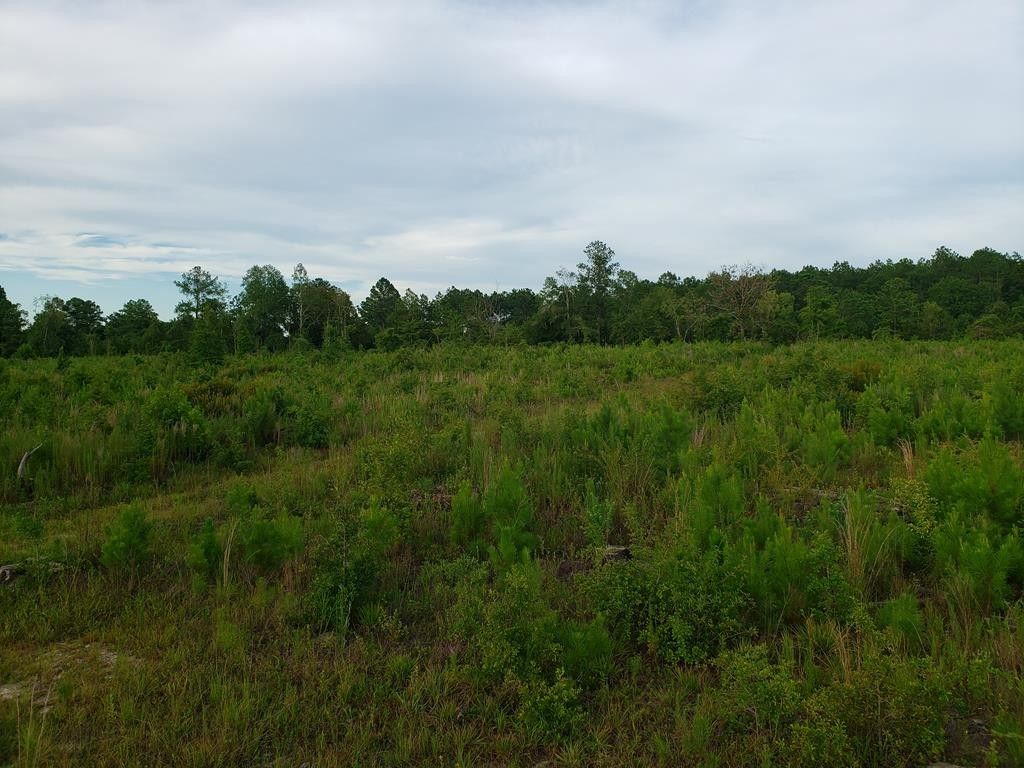 Cochran, Dodge County, GA Undeveloped Land for sale Property ID