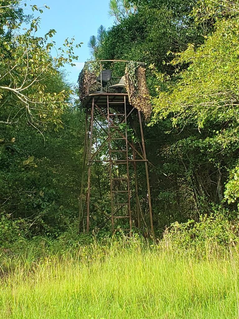 Eastman, Dodge County, GA Undeveloped Land for sale Property ID