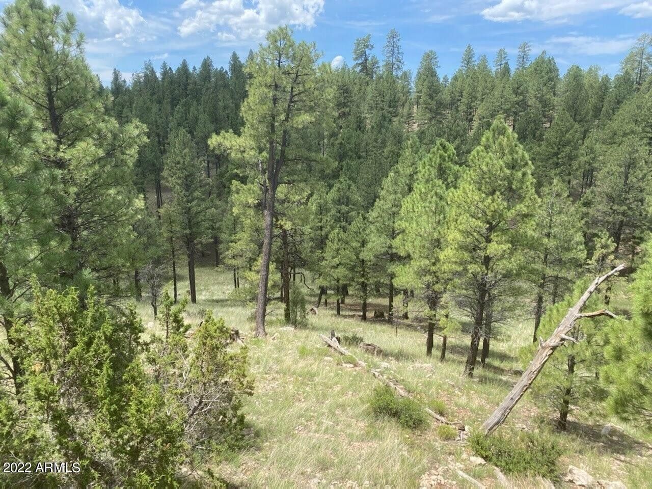 Happy Jack, Coconino County, AZ Undeveloped Land, Homesites for sale
