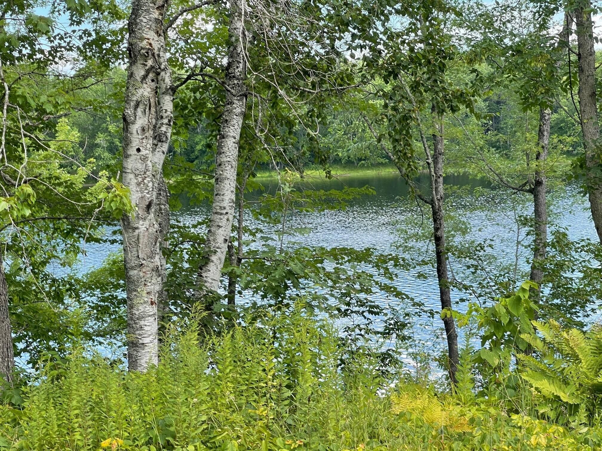 Edinburg, Penobscot County, ME Undeveloped Land, Lakefront Property