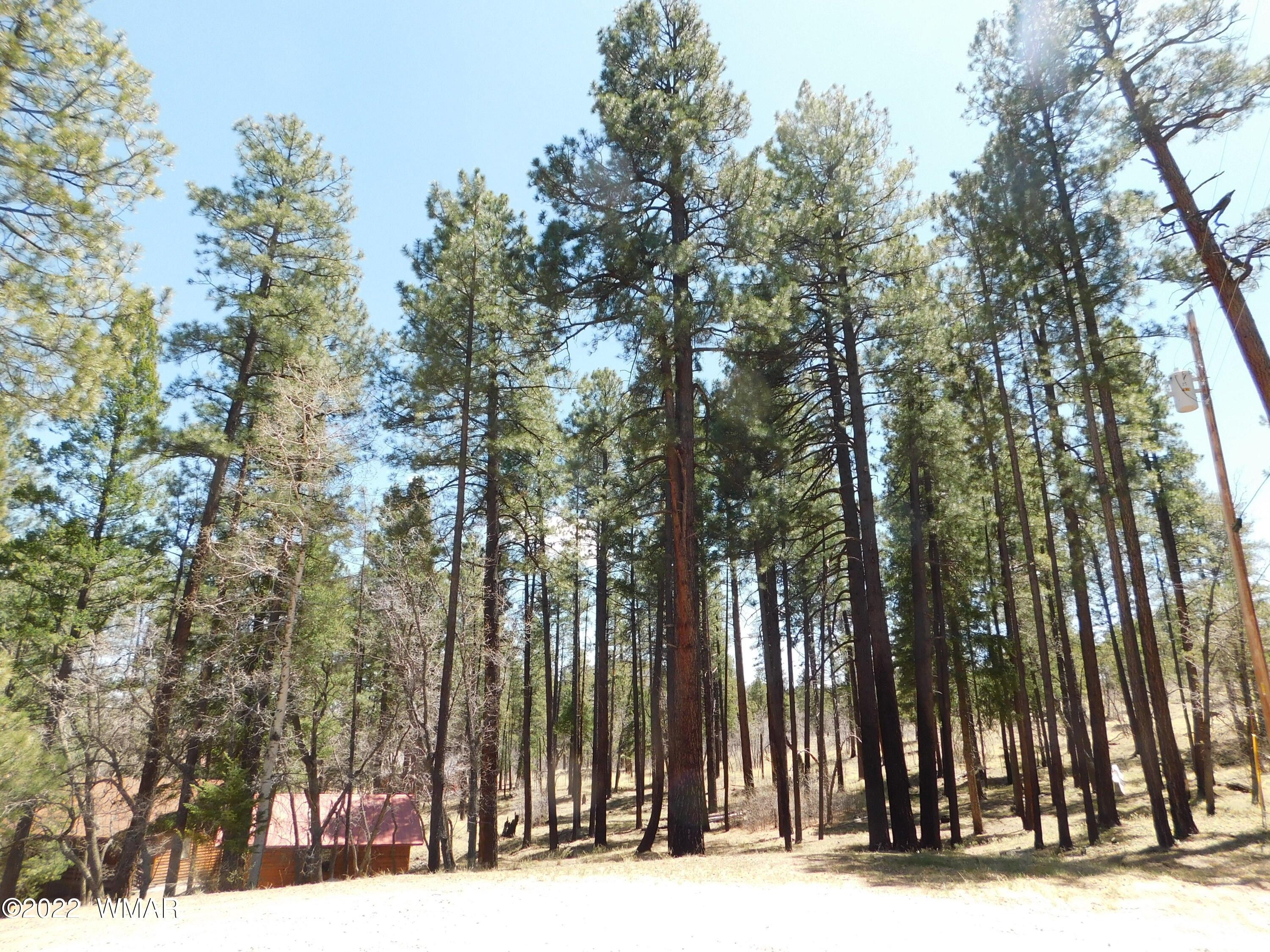 Alpine, Apache County, AZ Undeveloped Land, Homesites for sale Property