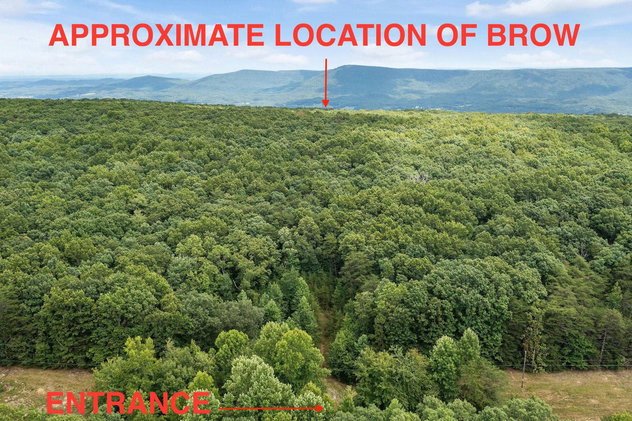 Menlo, Chattooga County, GA Undeveloped Land for sale Property ID