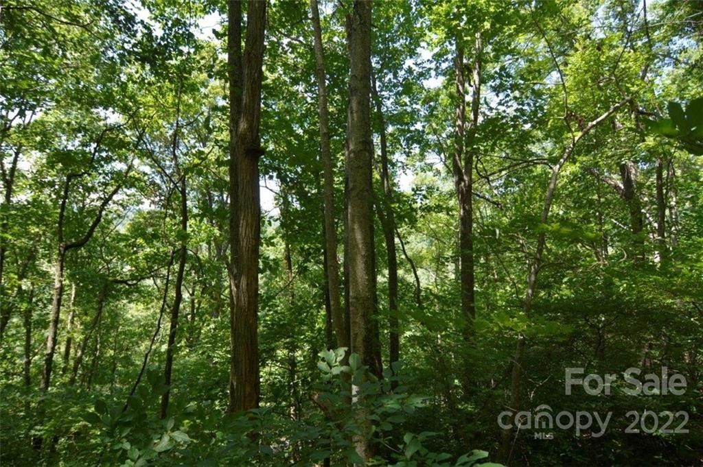 Mars Hill, Madison County, NC Farms and Ranches, Homesites for sale