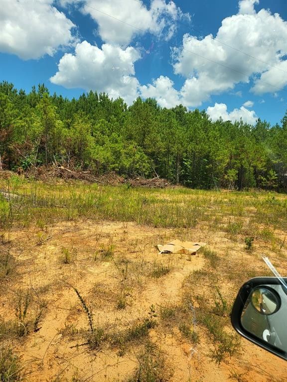 Karnack, Harrison County, TX House for sale Property ID 414423230