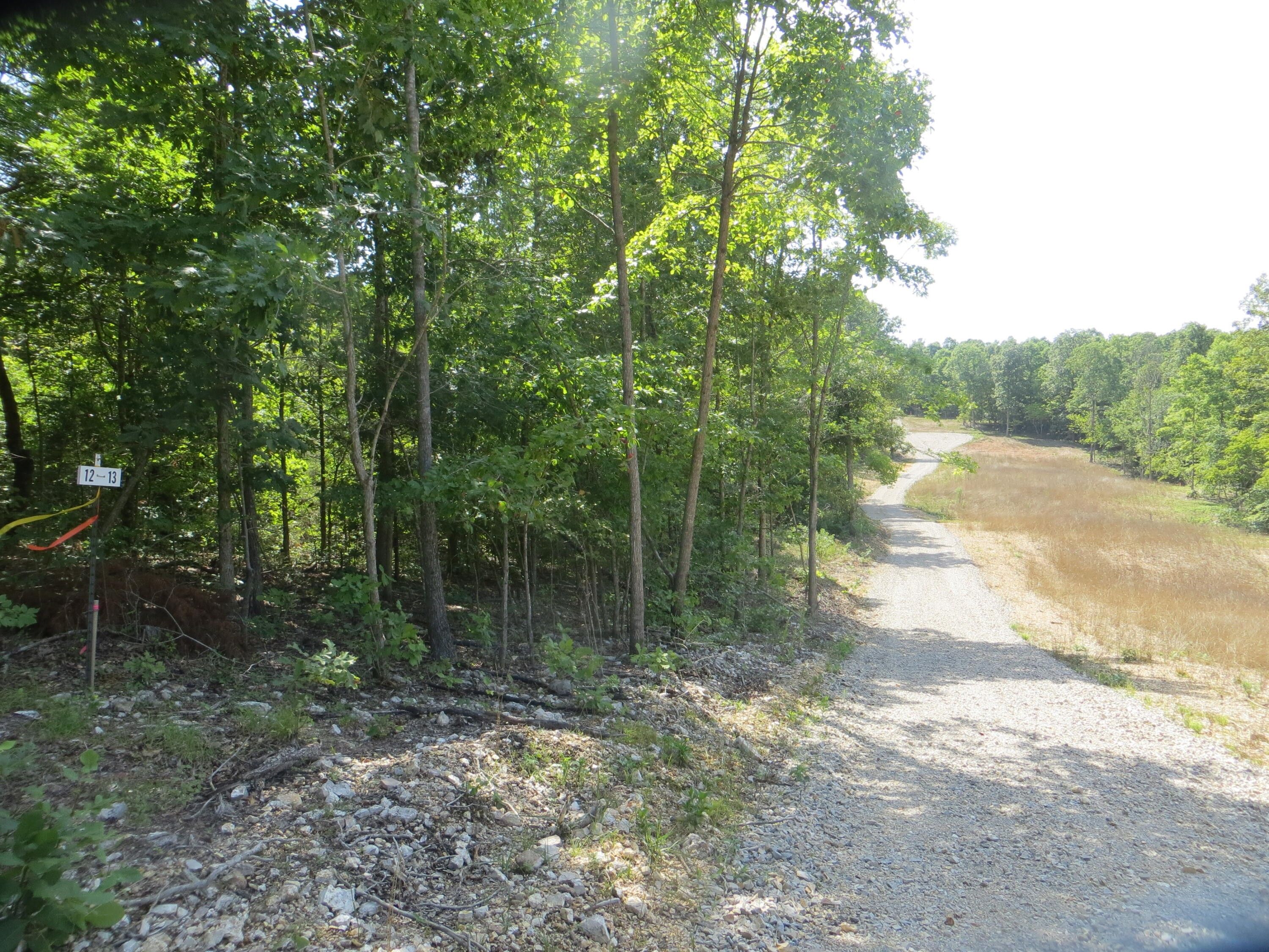 Thayer, Oregon County, MO for sale Property ID 414423612 LandWatch