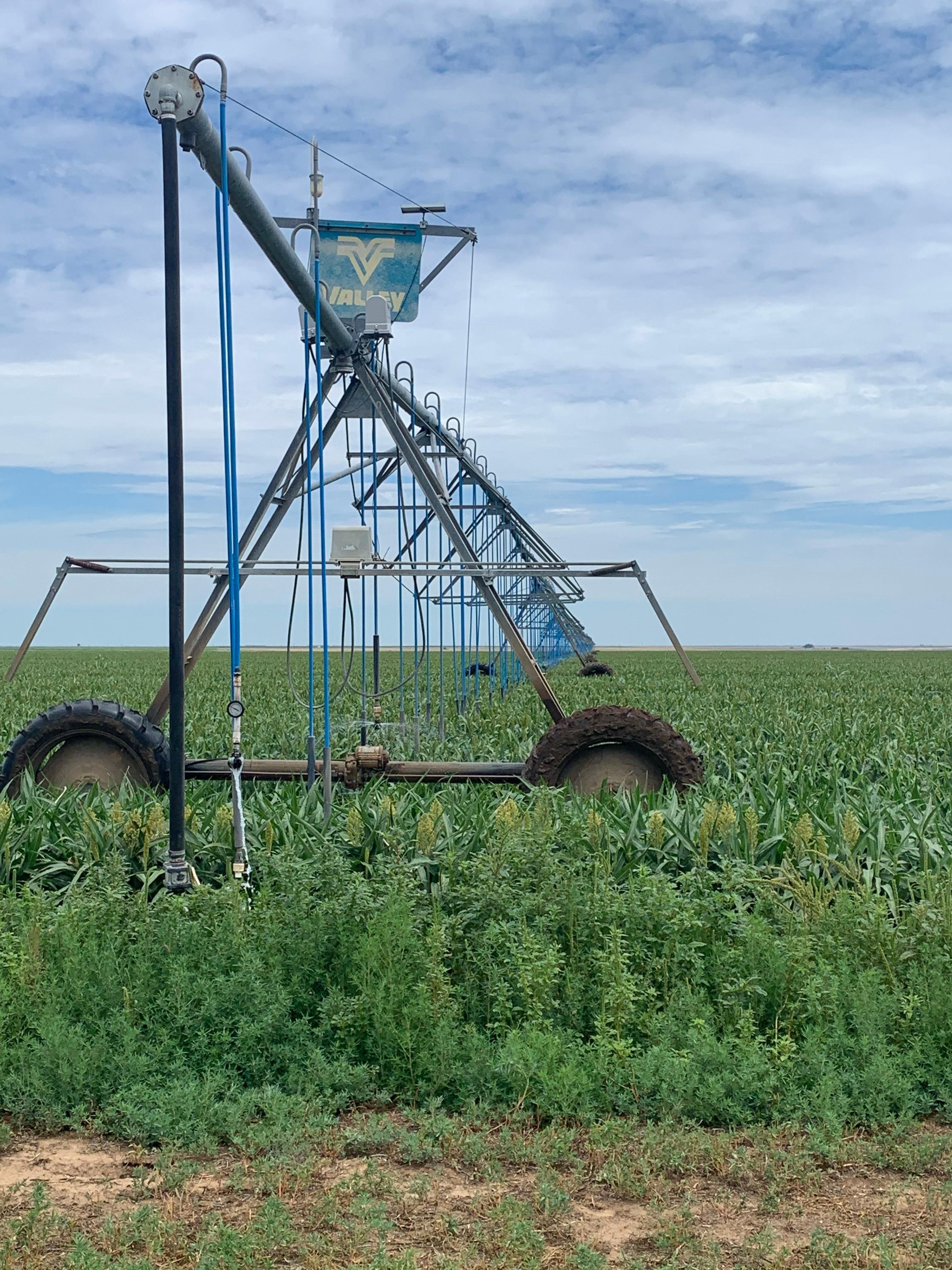 Sunray, Moore County, TX Farms and Ranches for sale Property ID